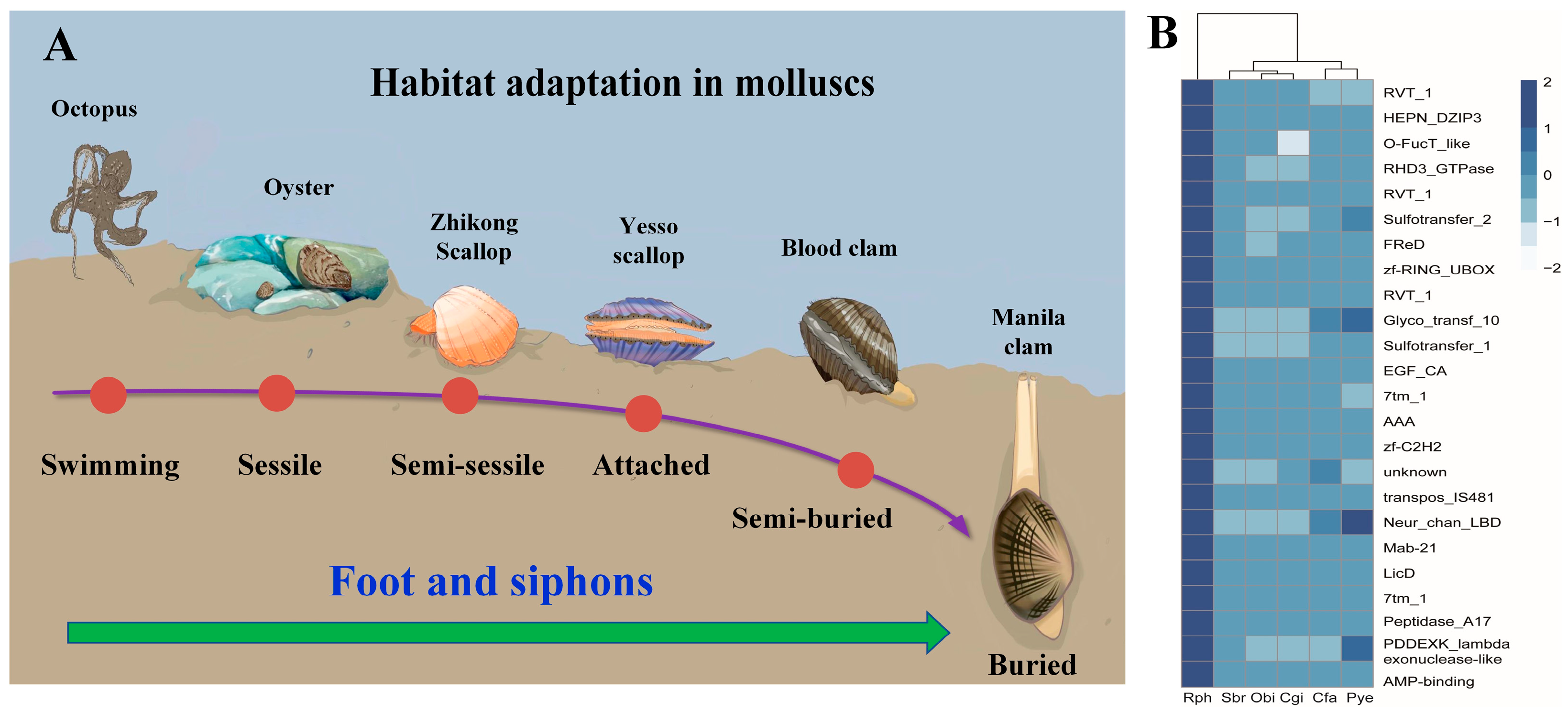 Biology 13 00870 g004