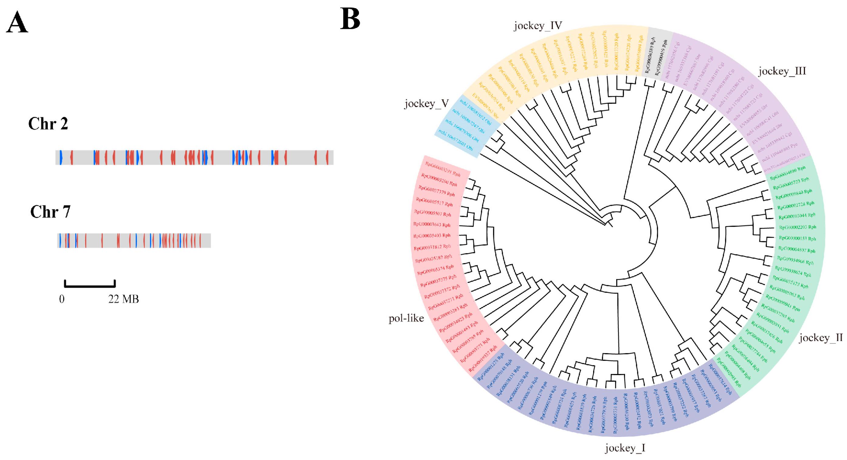 Biology 13 00870 g006