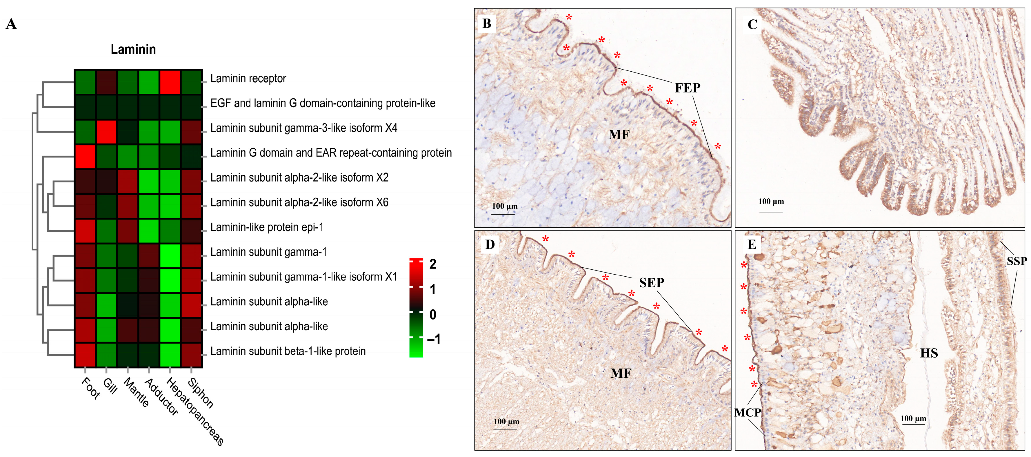 Biology 13 00870 g009
