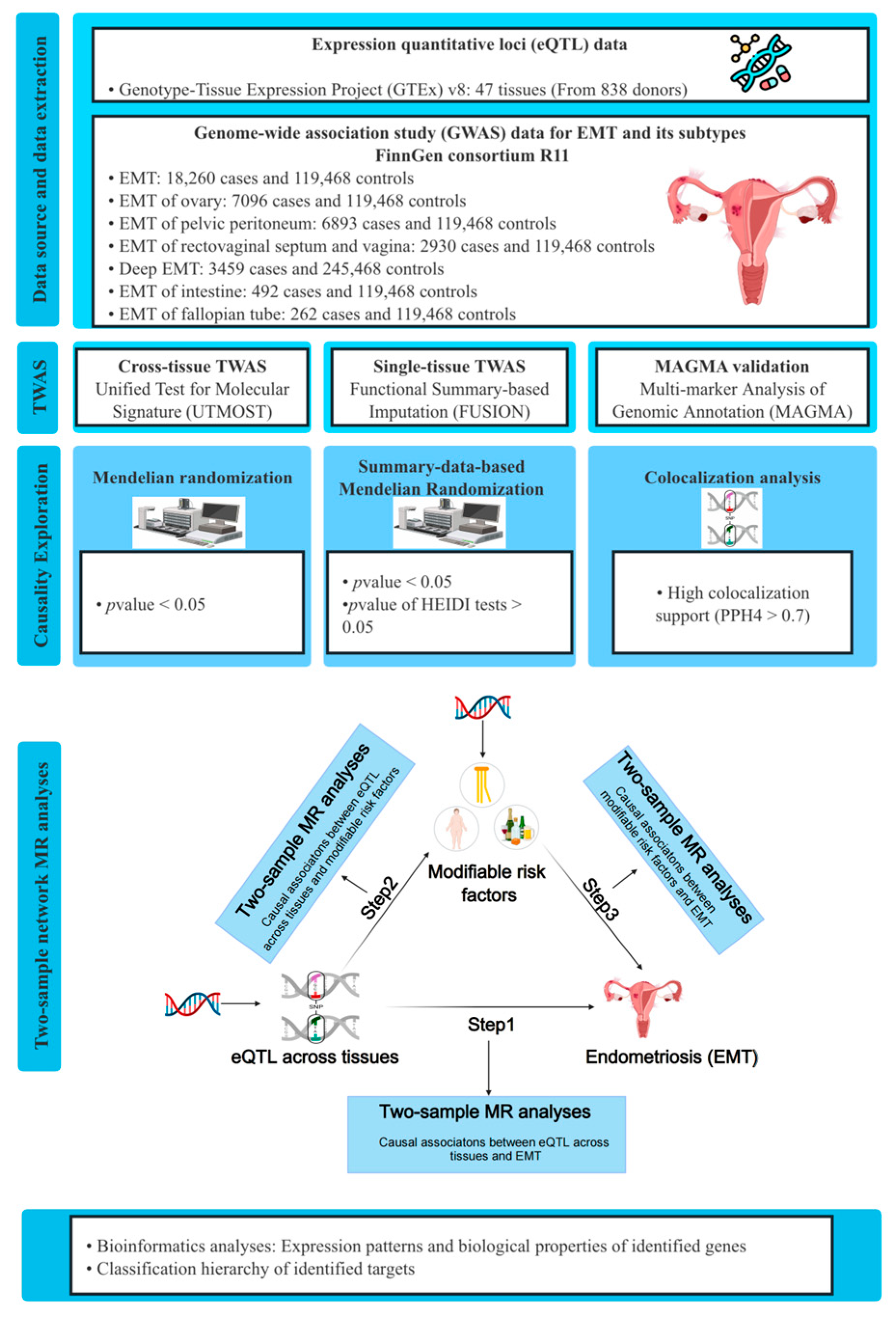 Biology 13 00871 g001