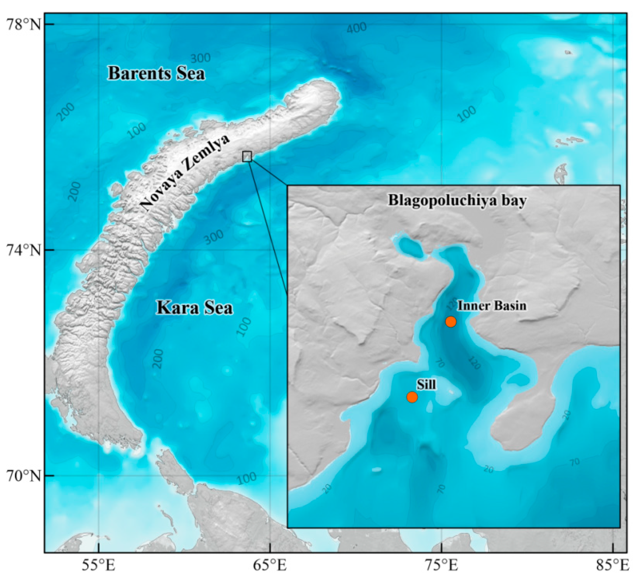 Biology 13 00874 g001