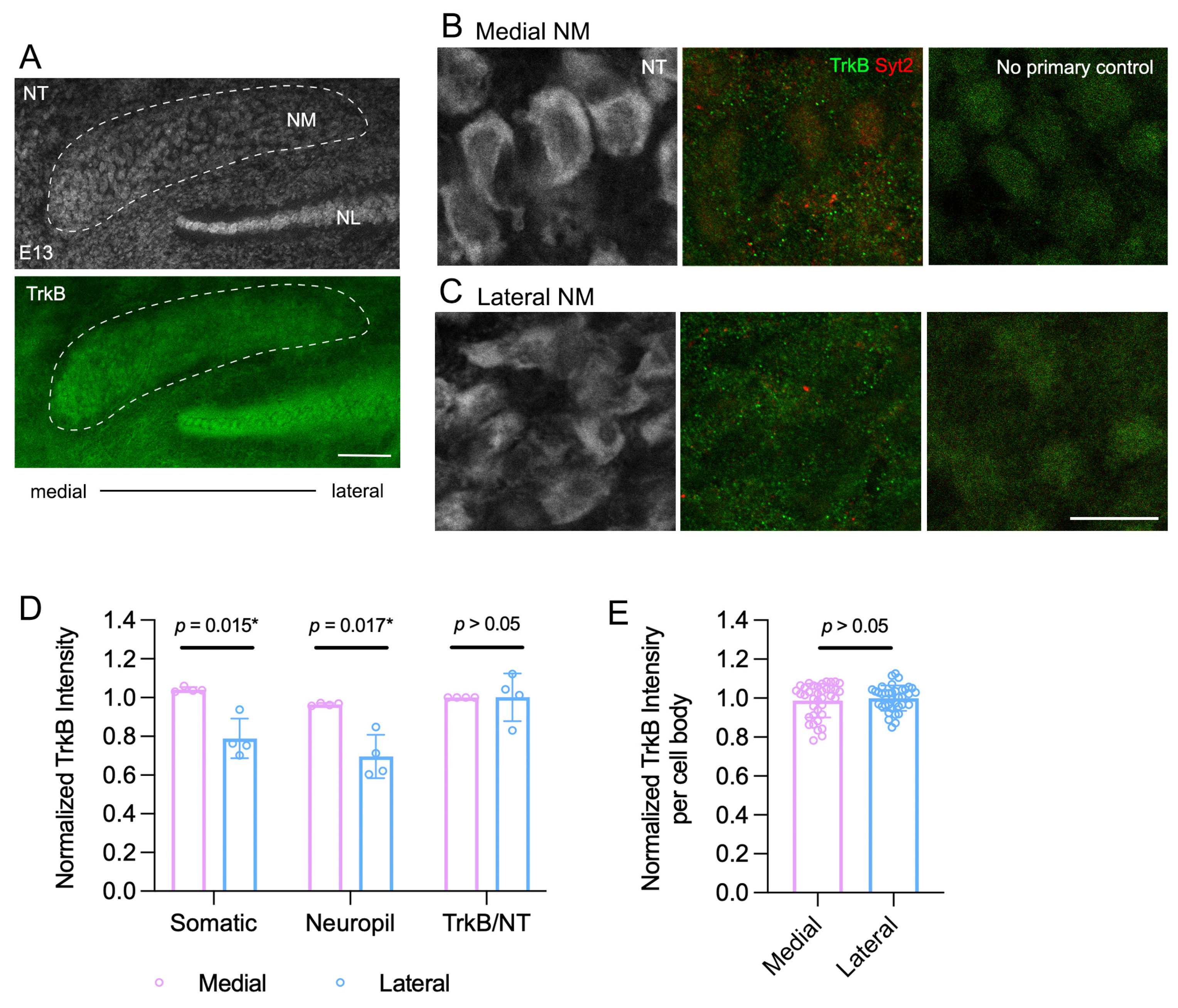 Biology 13 00877 g001