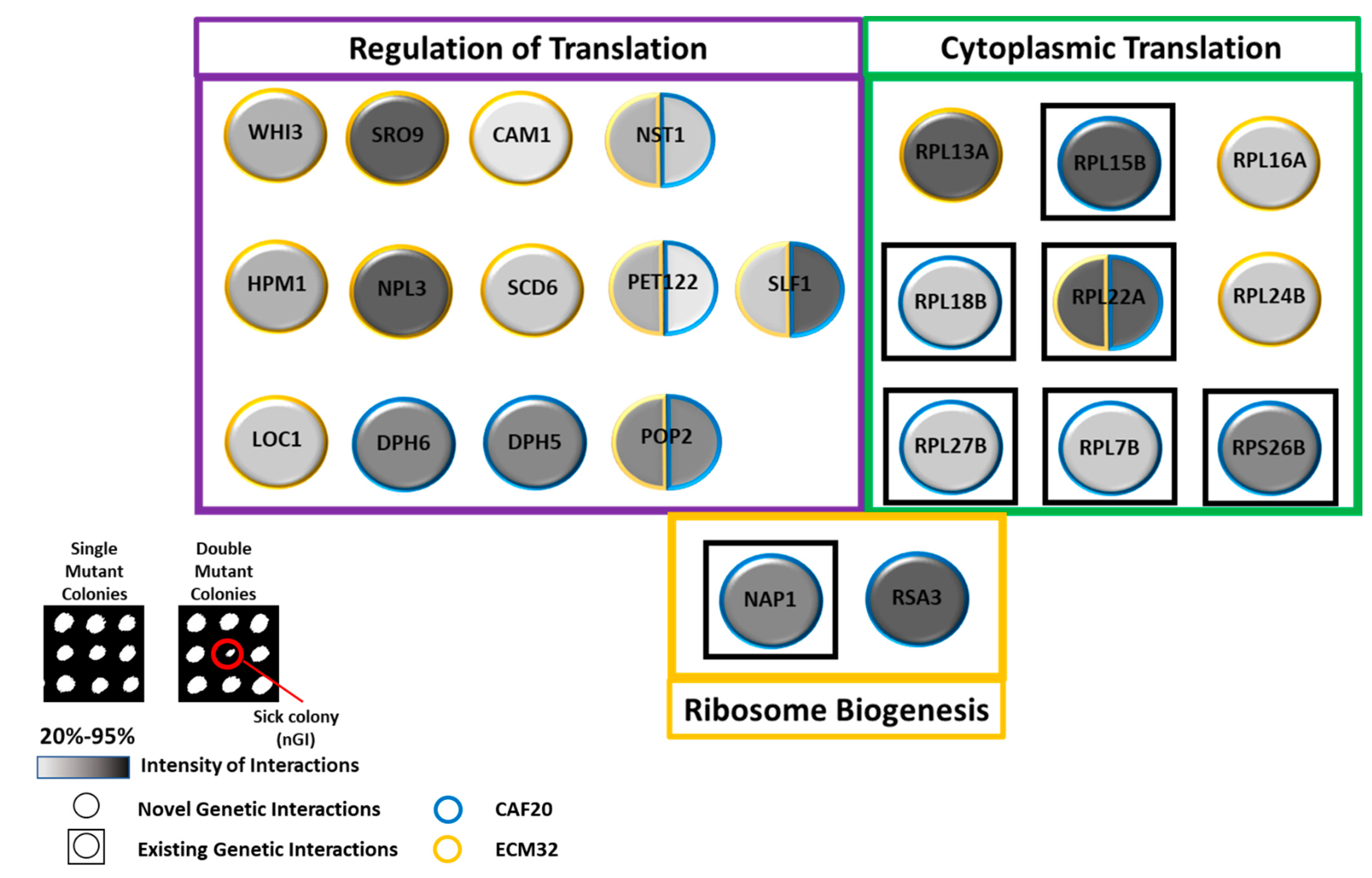 Biology 13 00884 g008 Biology 13 00884 g008