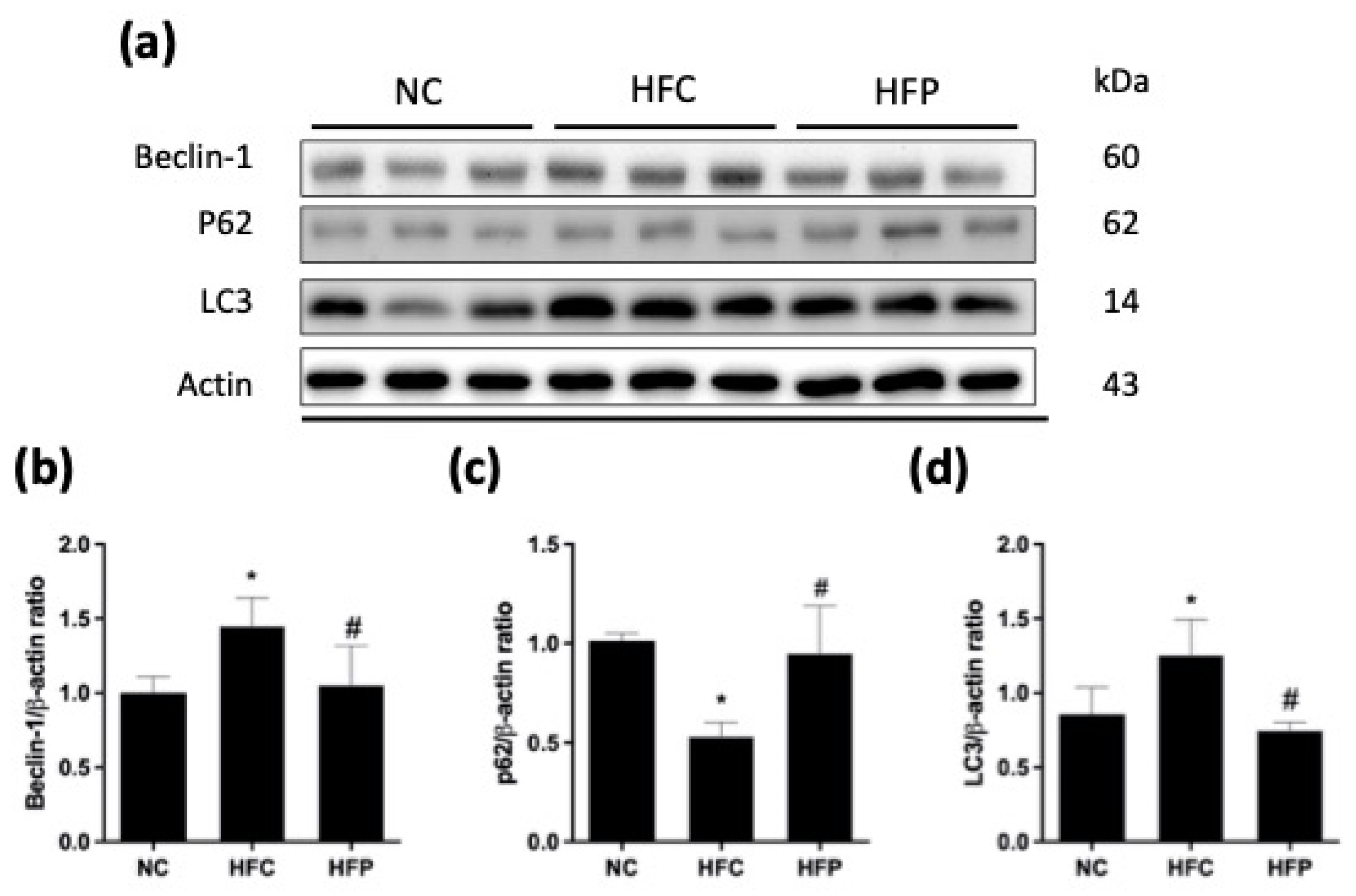 Biology 13 00890 g008