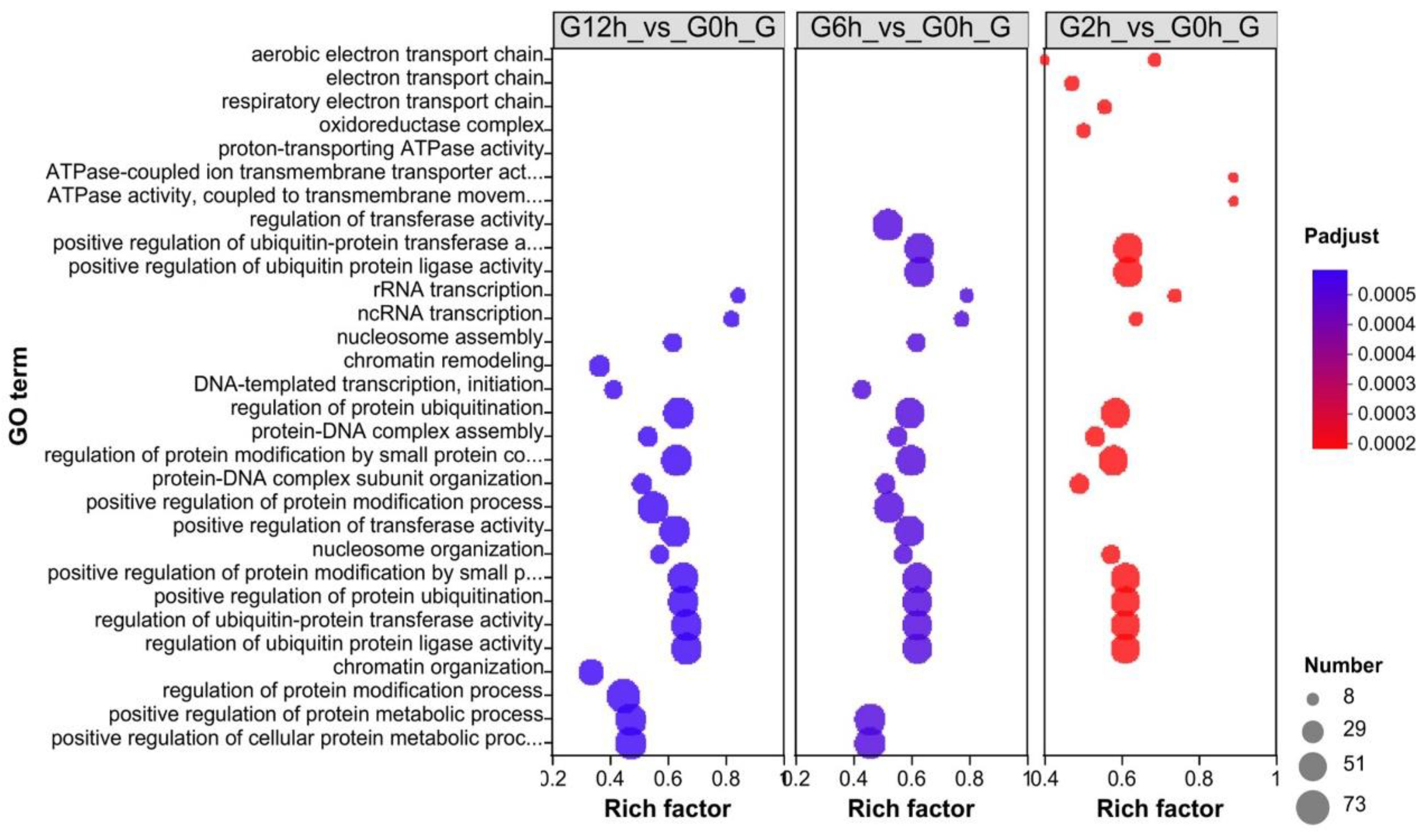 Biology 13 00894 g003