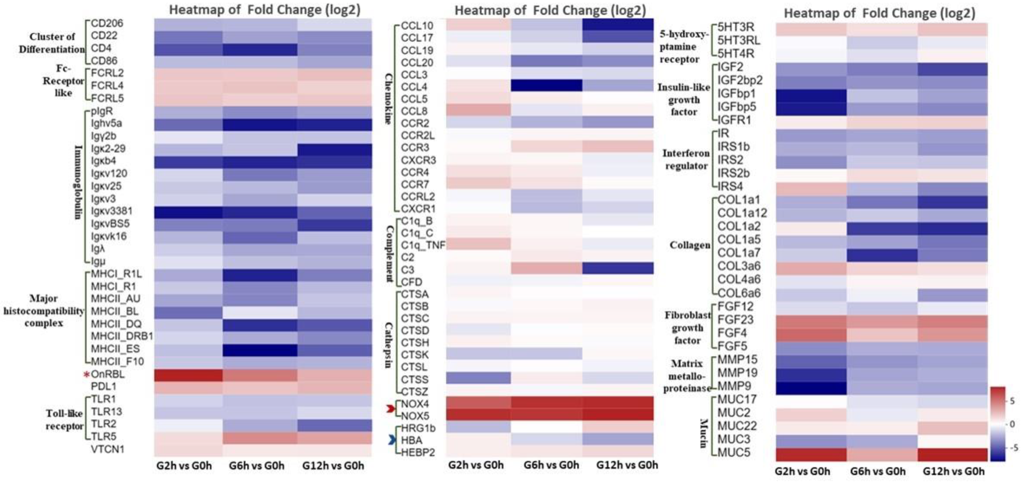 Biology 13 00894 g005