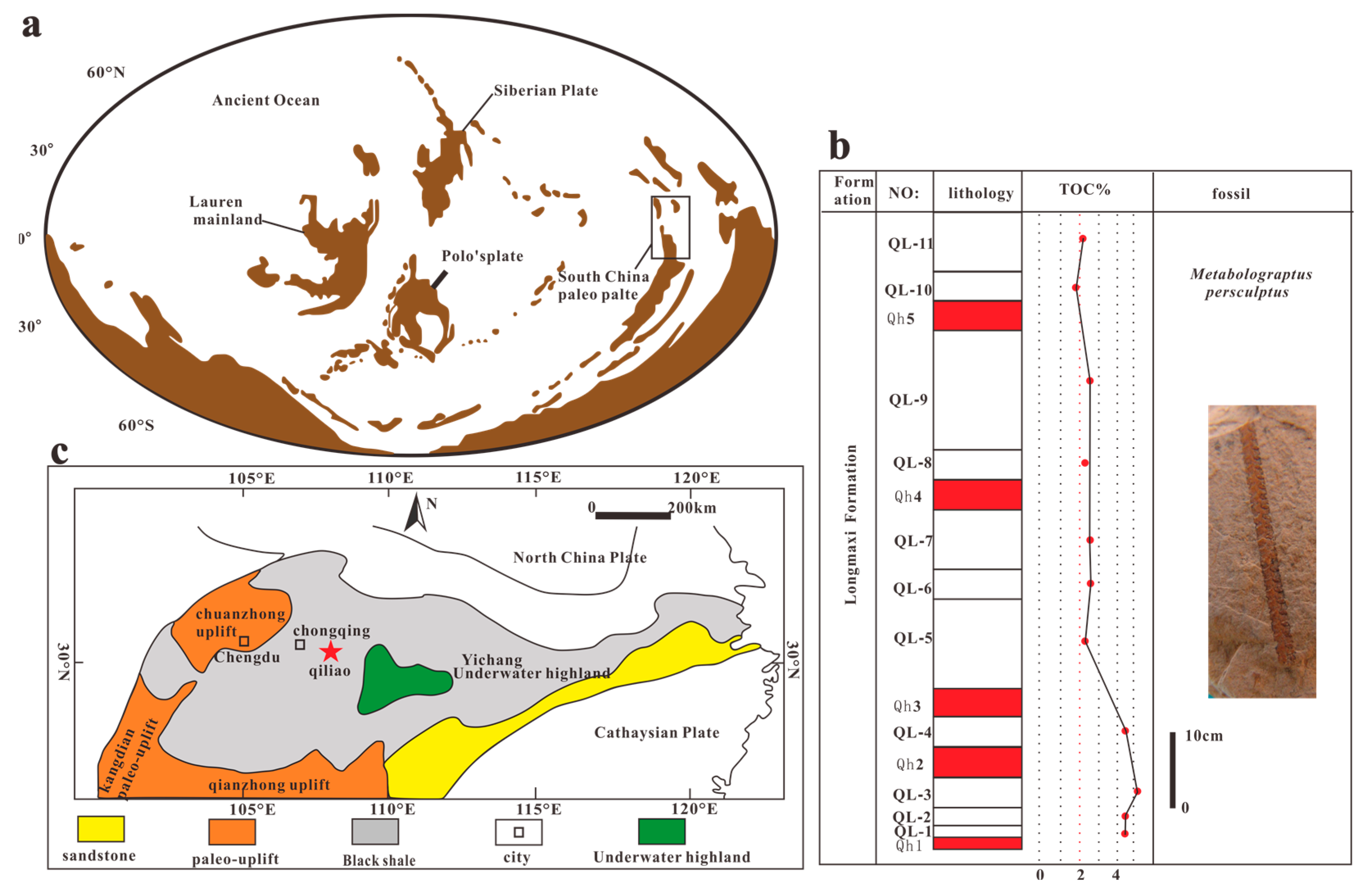 Biology 13 00895 g001