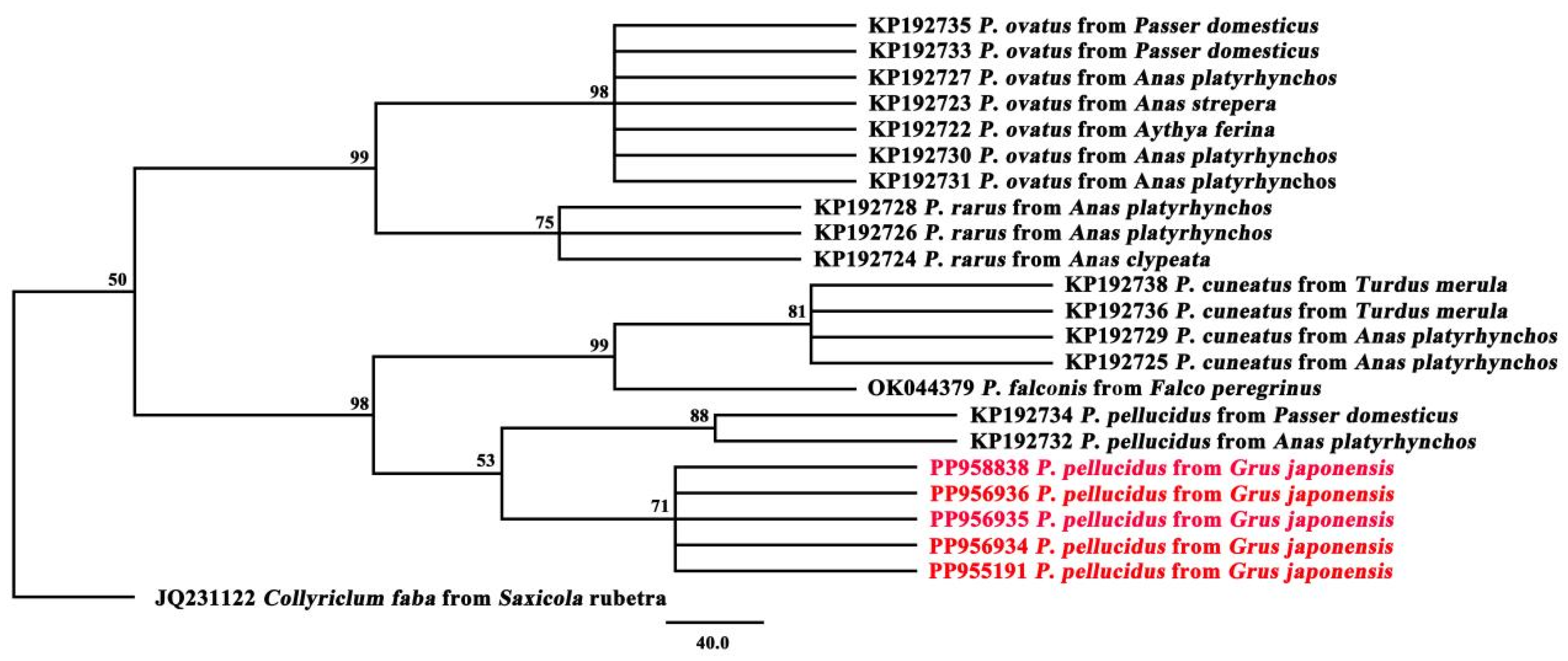 Biology 13 00900 g003