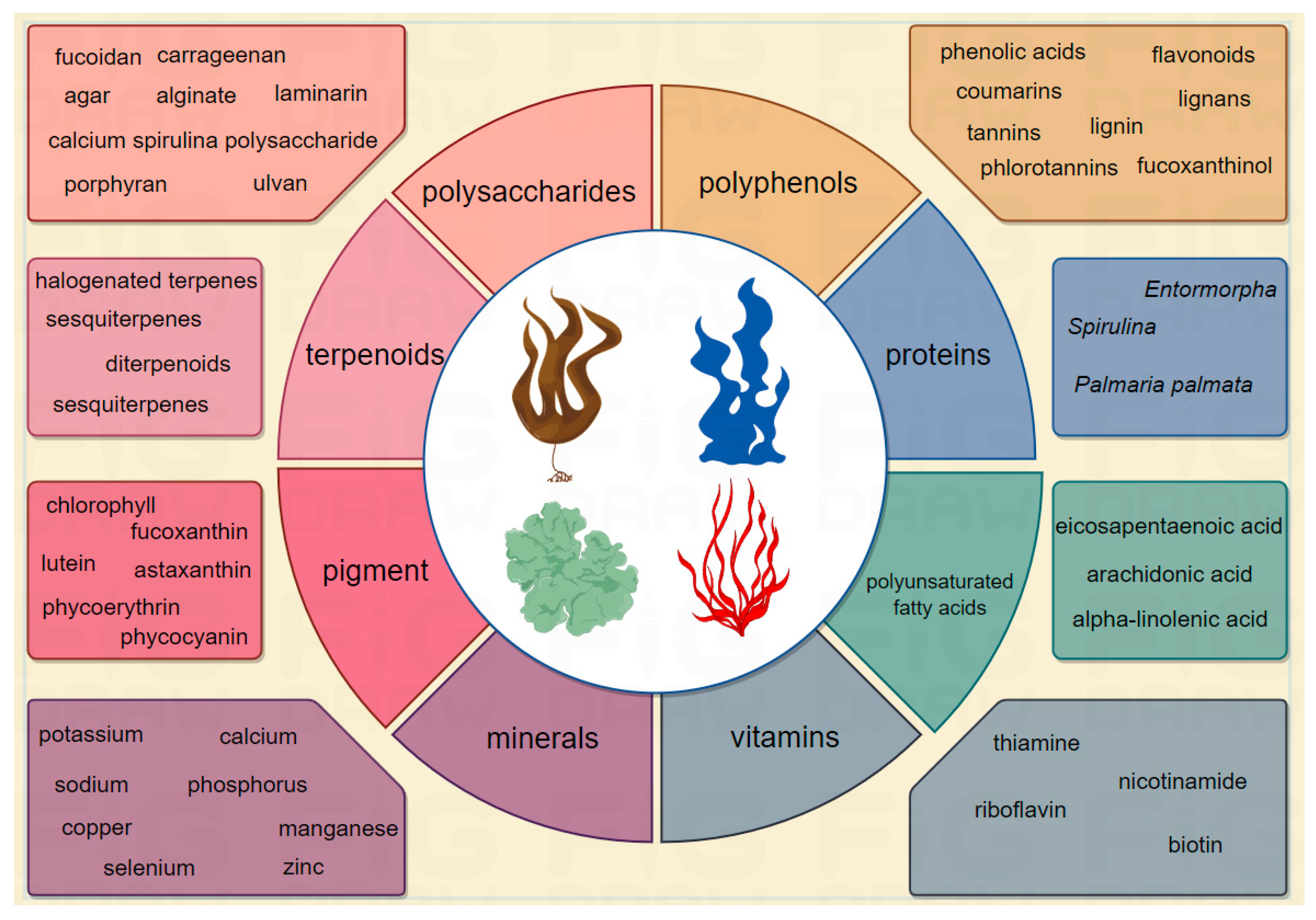 Biology 13 00904 g004