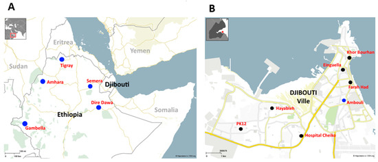Biology 13 00905 g001