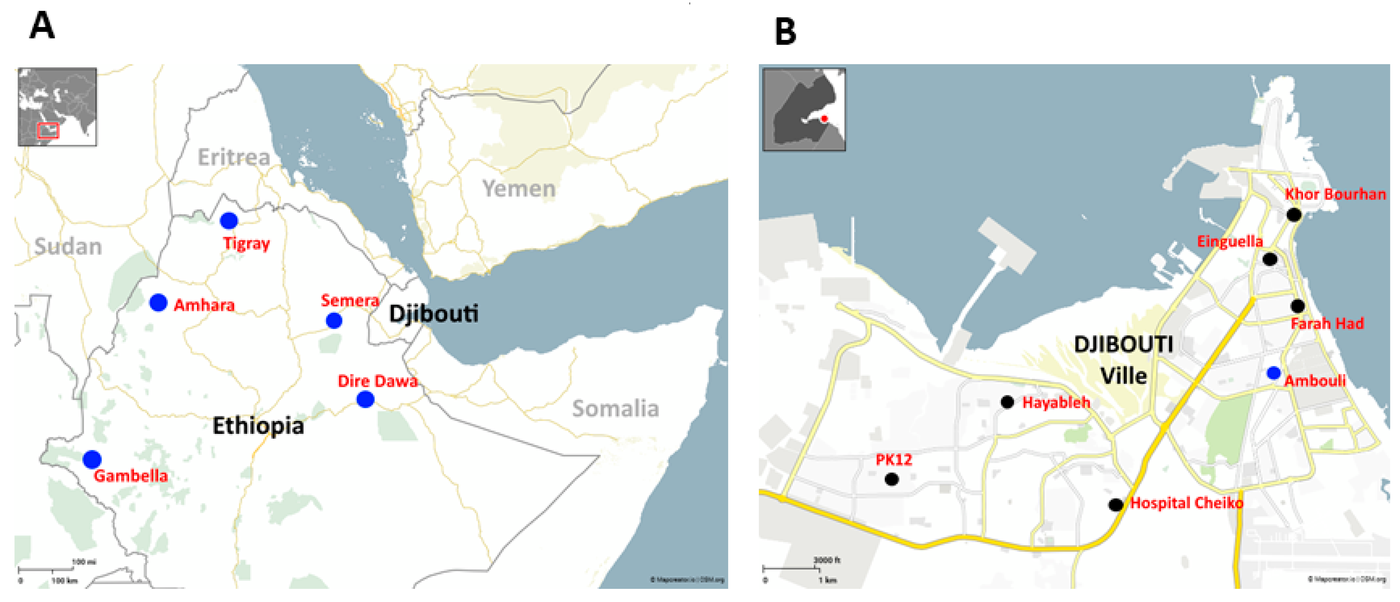 Biology 13 00905 g001