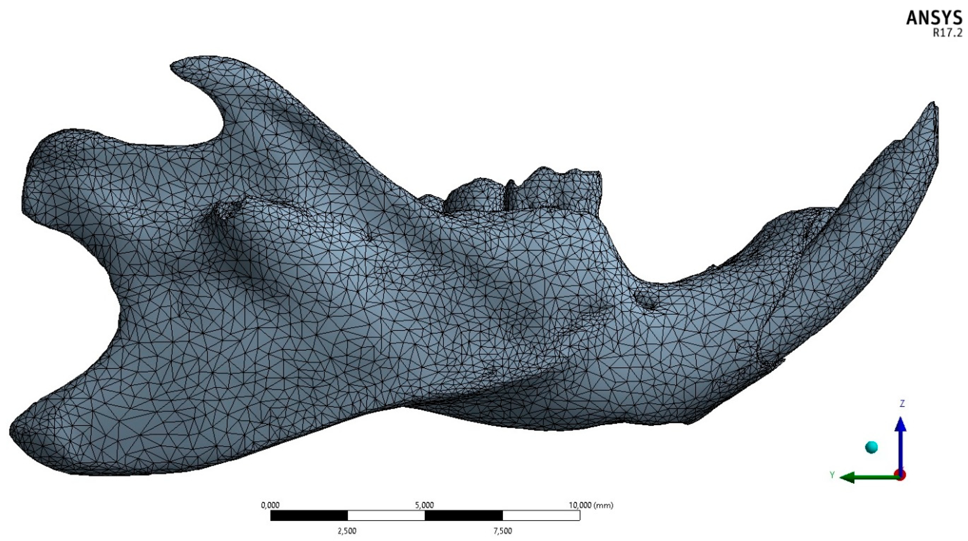 Biology 13 00906 g002