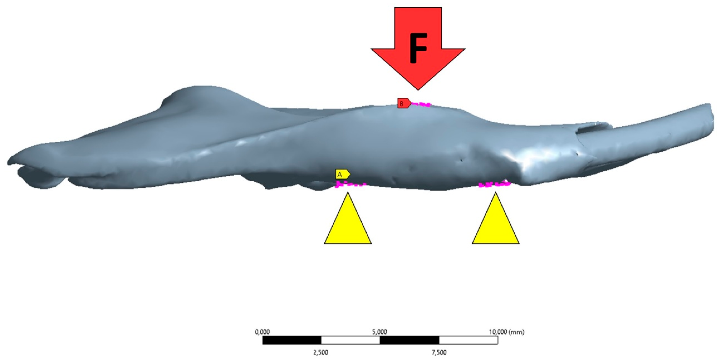 Biology 13 00906 g003