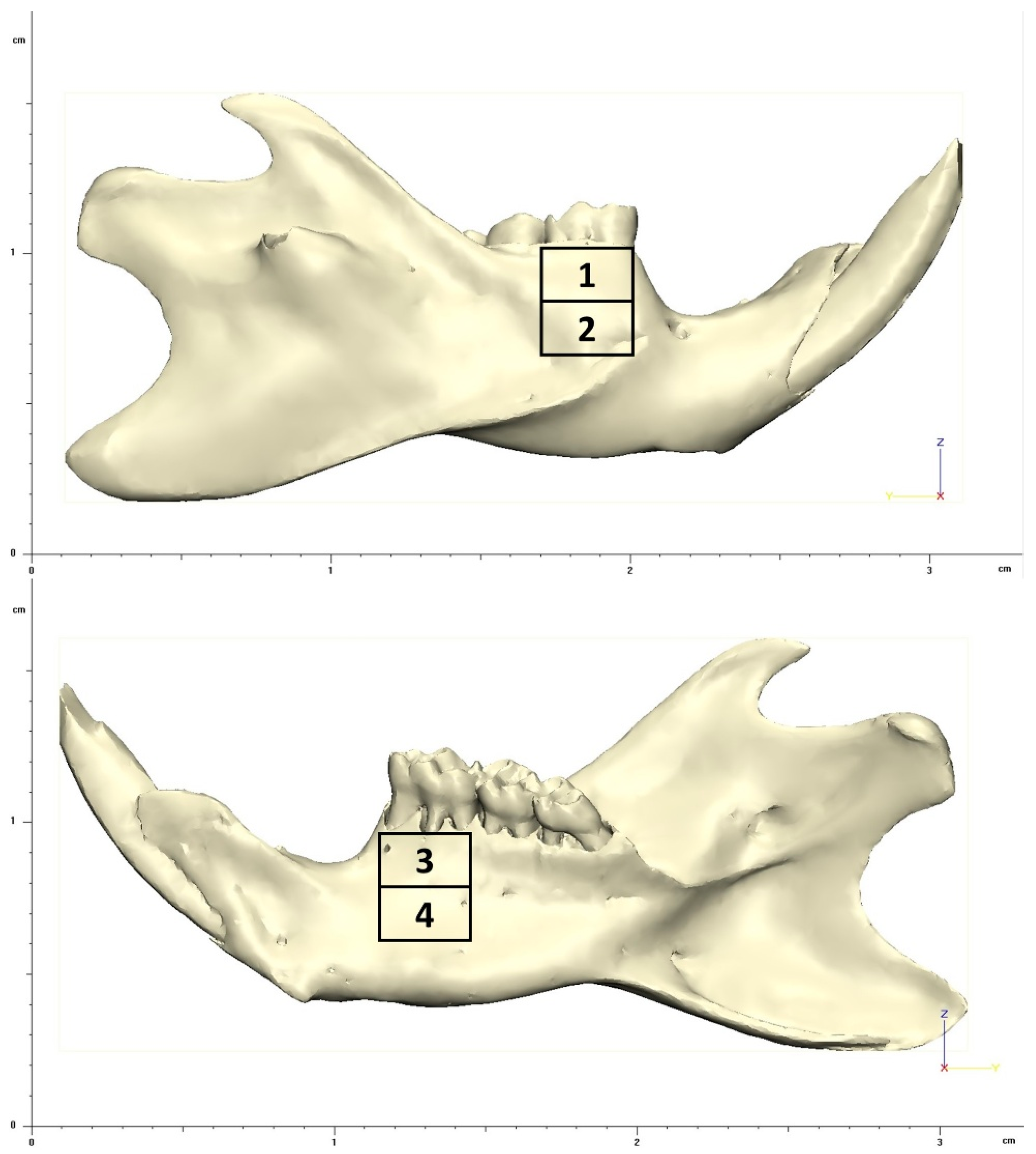 Biology 13 00906 g004
