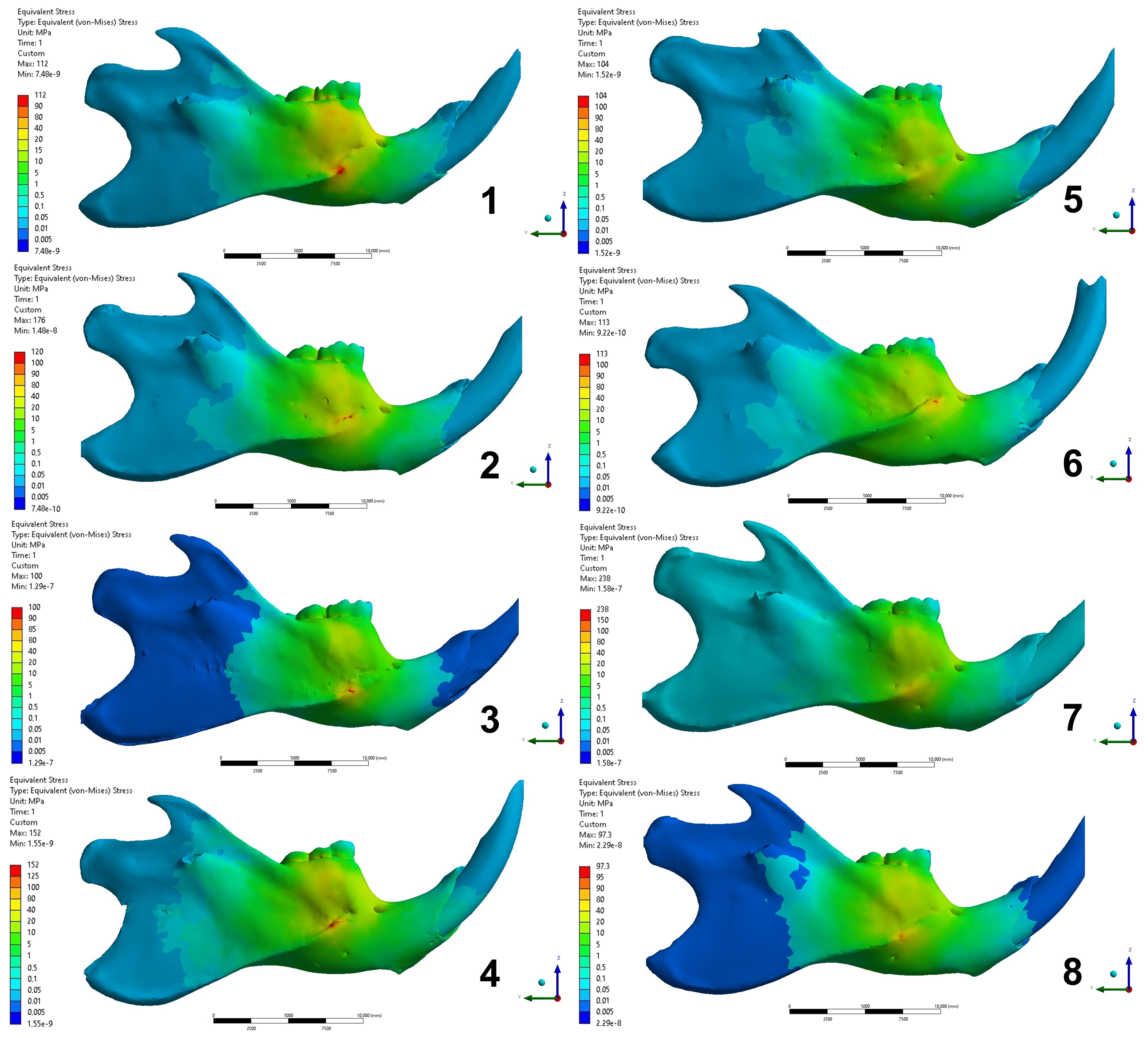 Biology 13 00906 g005
