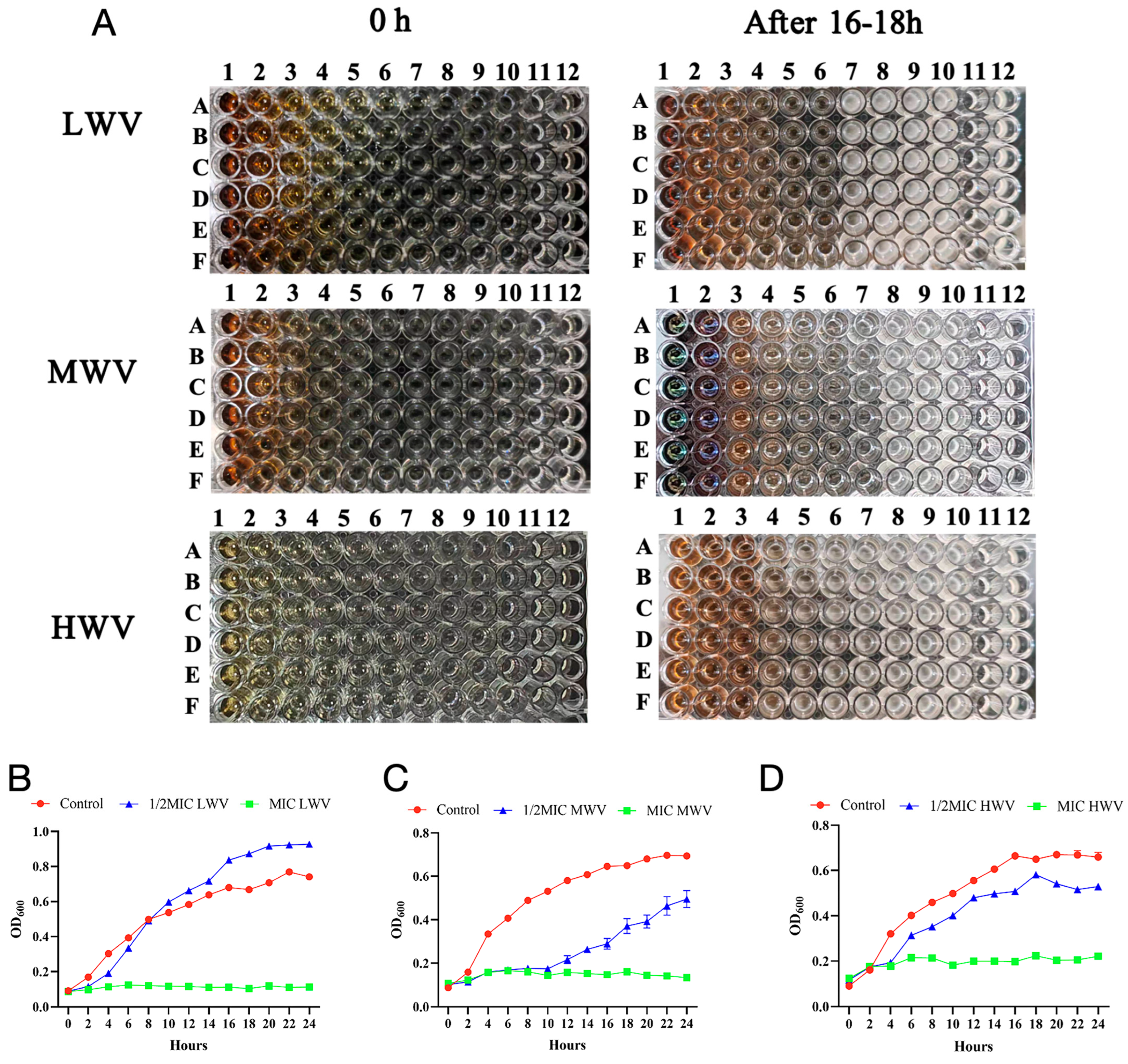 Biology 13 00912 g001