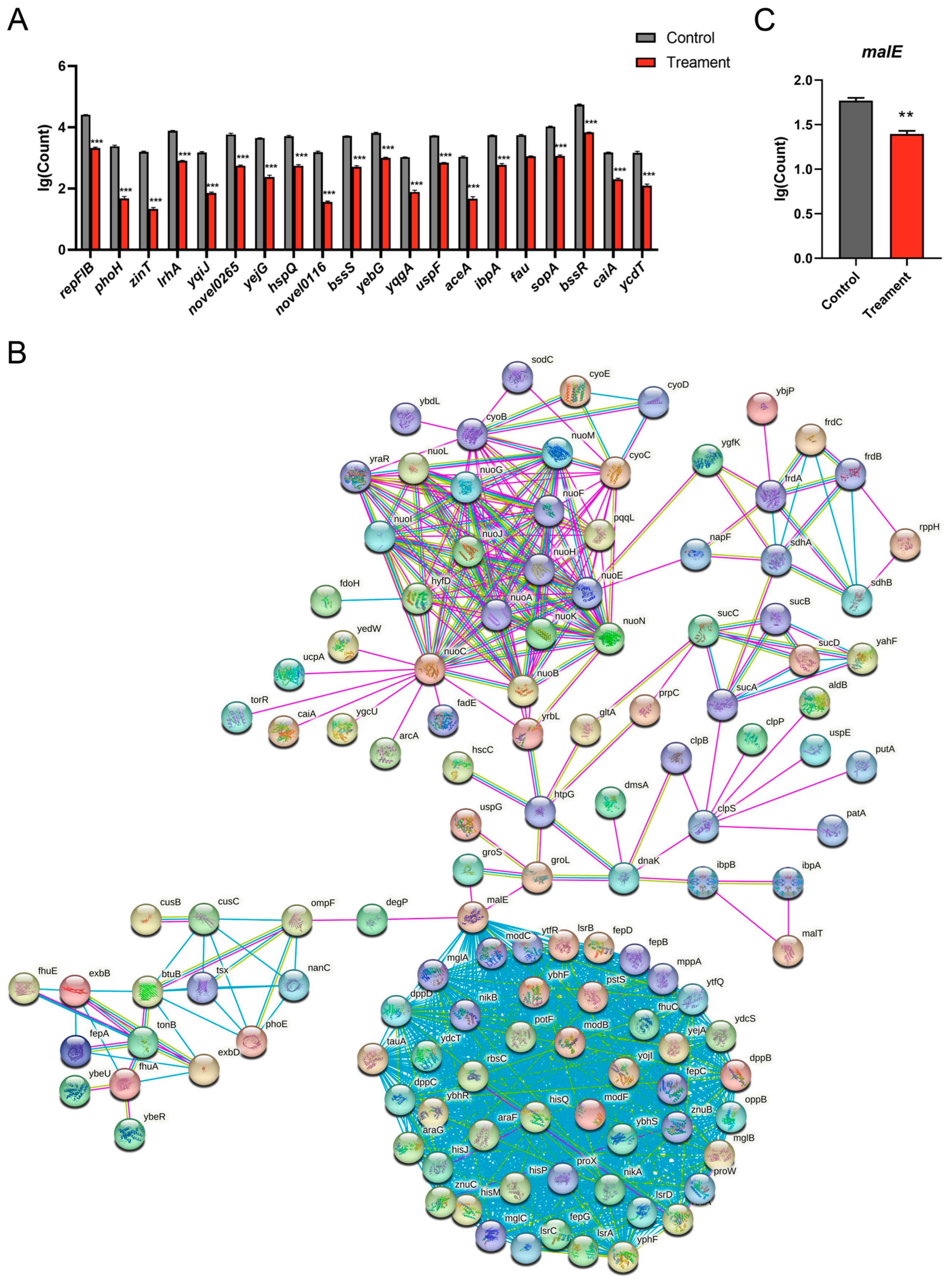 Biology 13 00912 g007