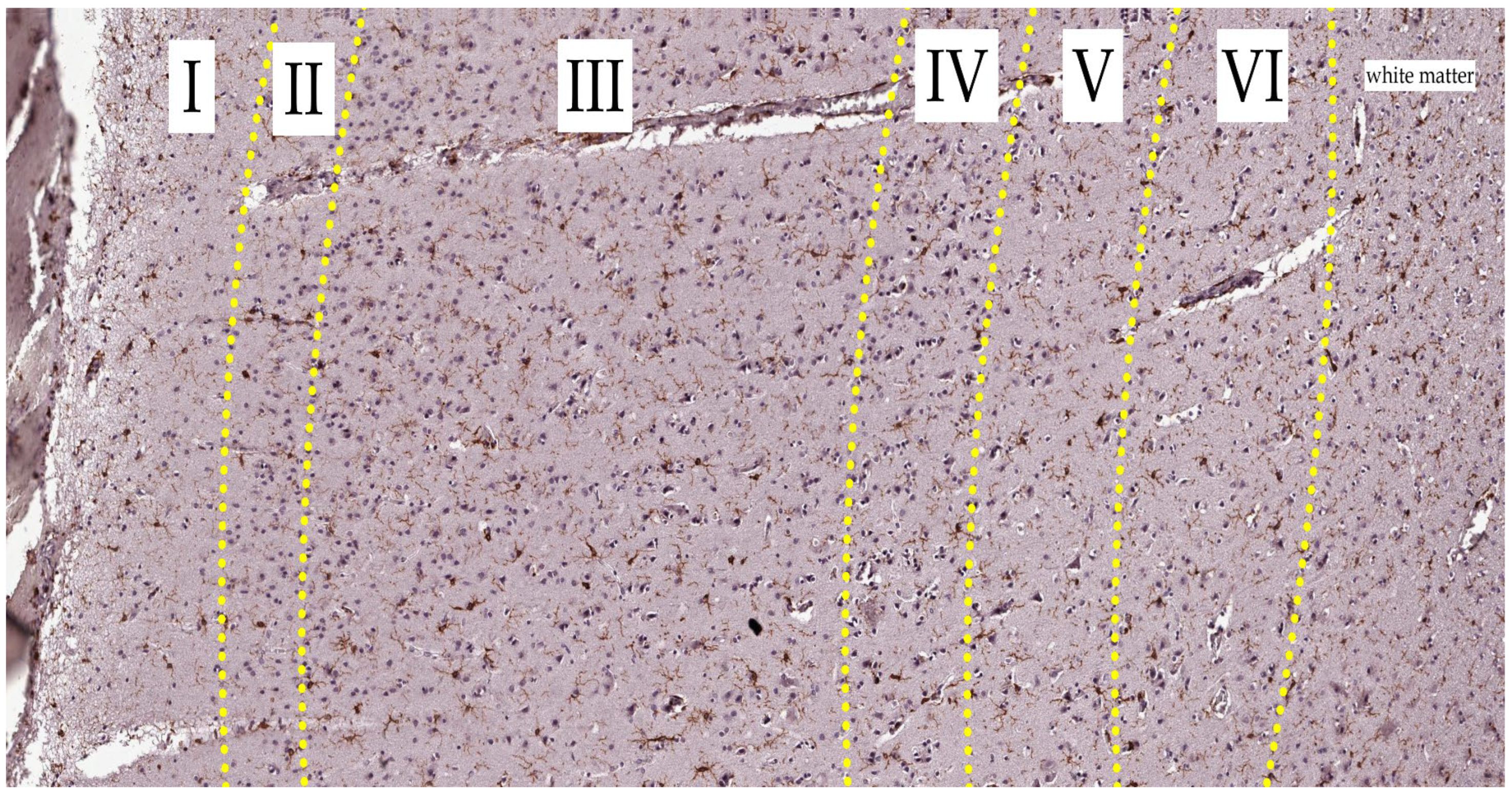 Biology 13 00917 g007