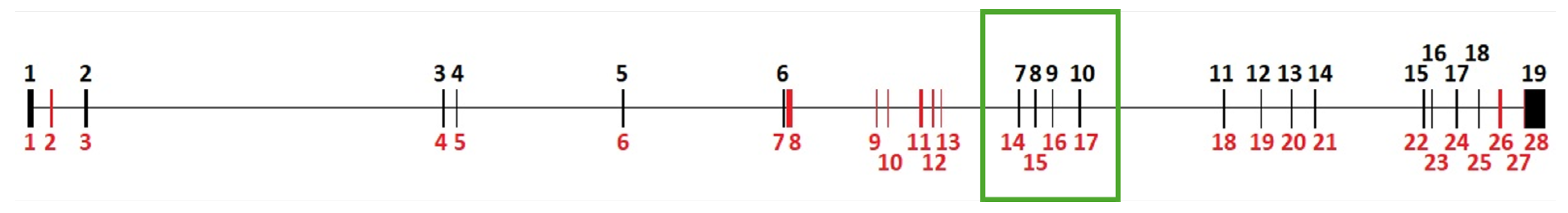 Biology 13 00920 g002