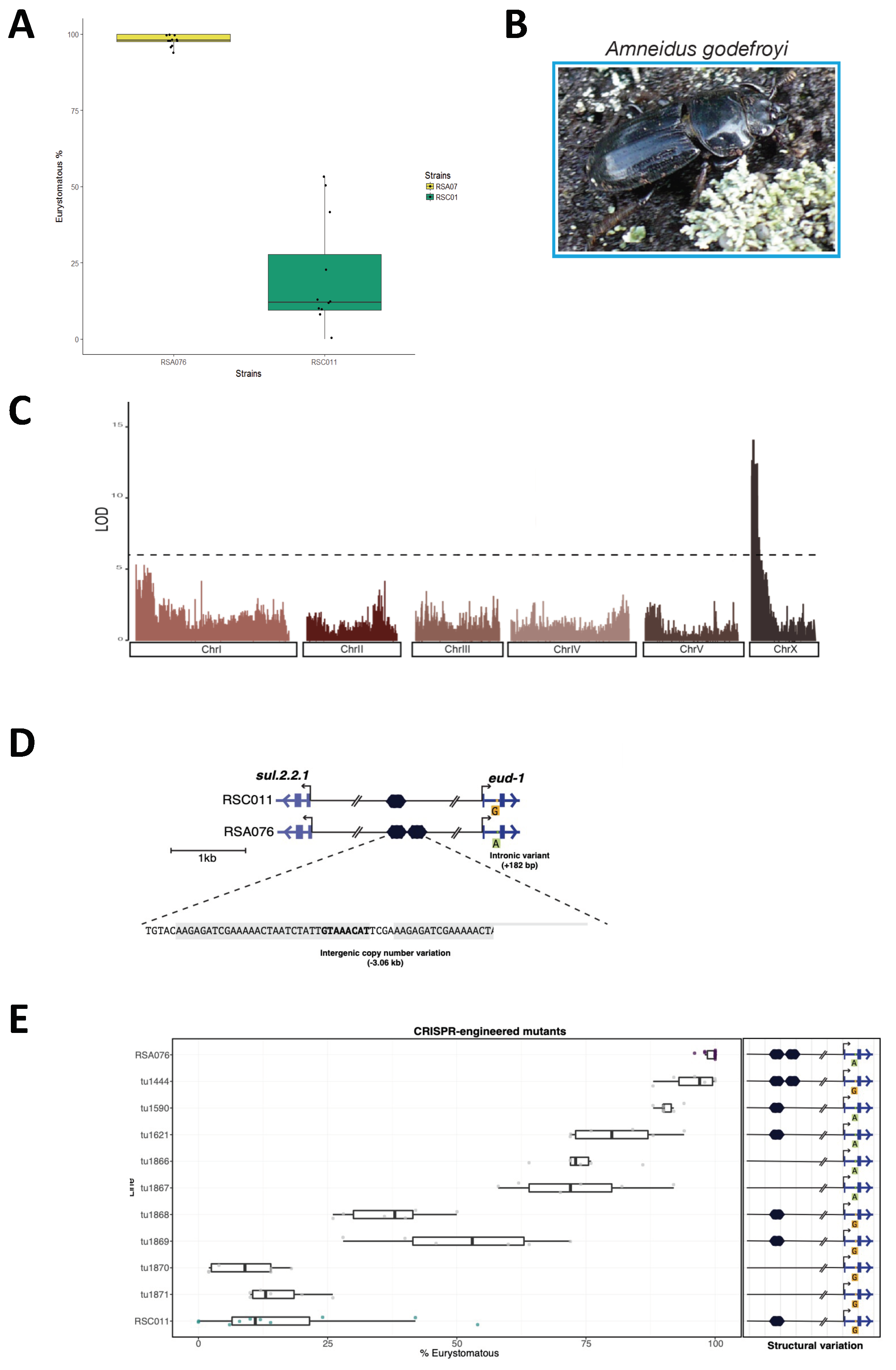 Biology 13 00922 g003