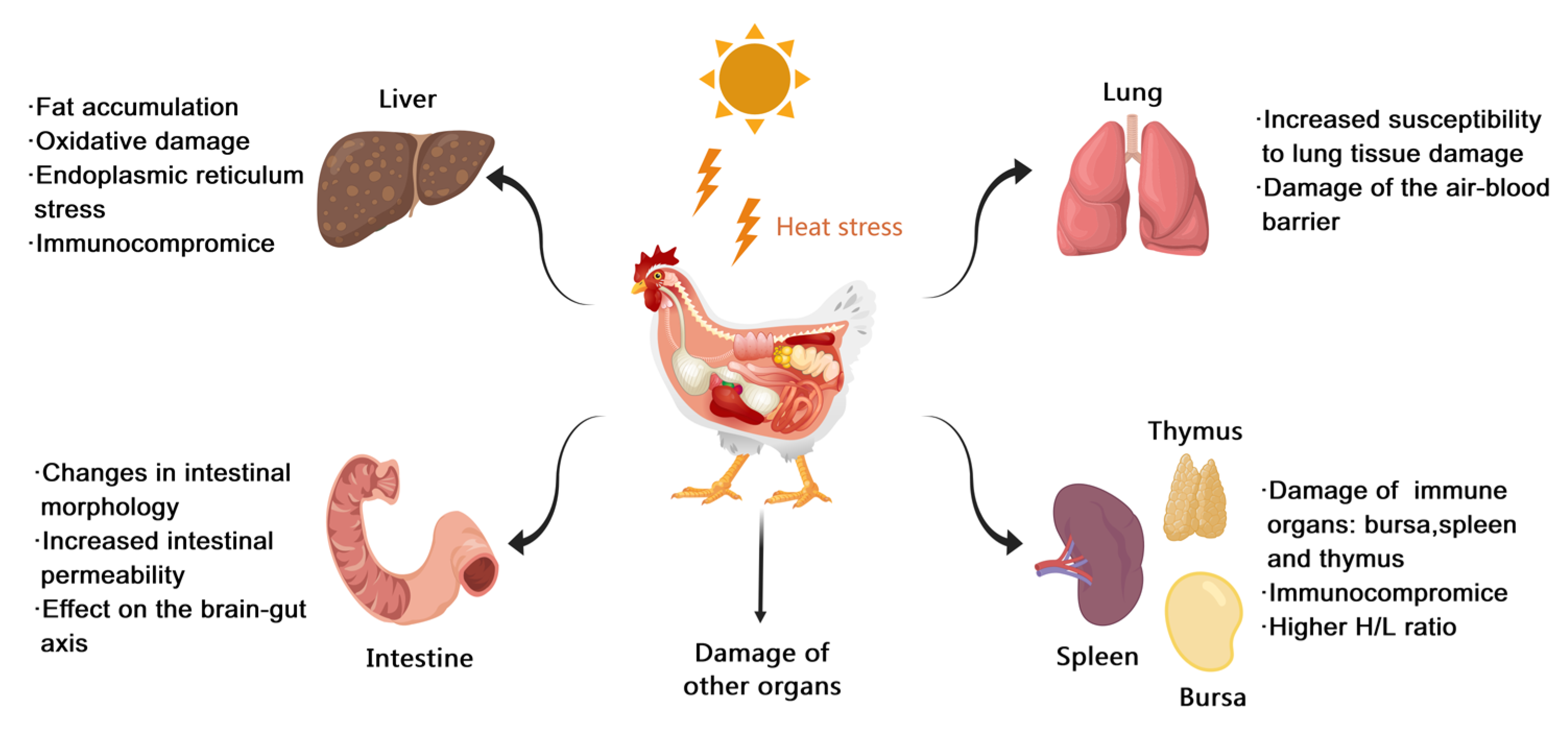 Biology 13 00926 g004