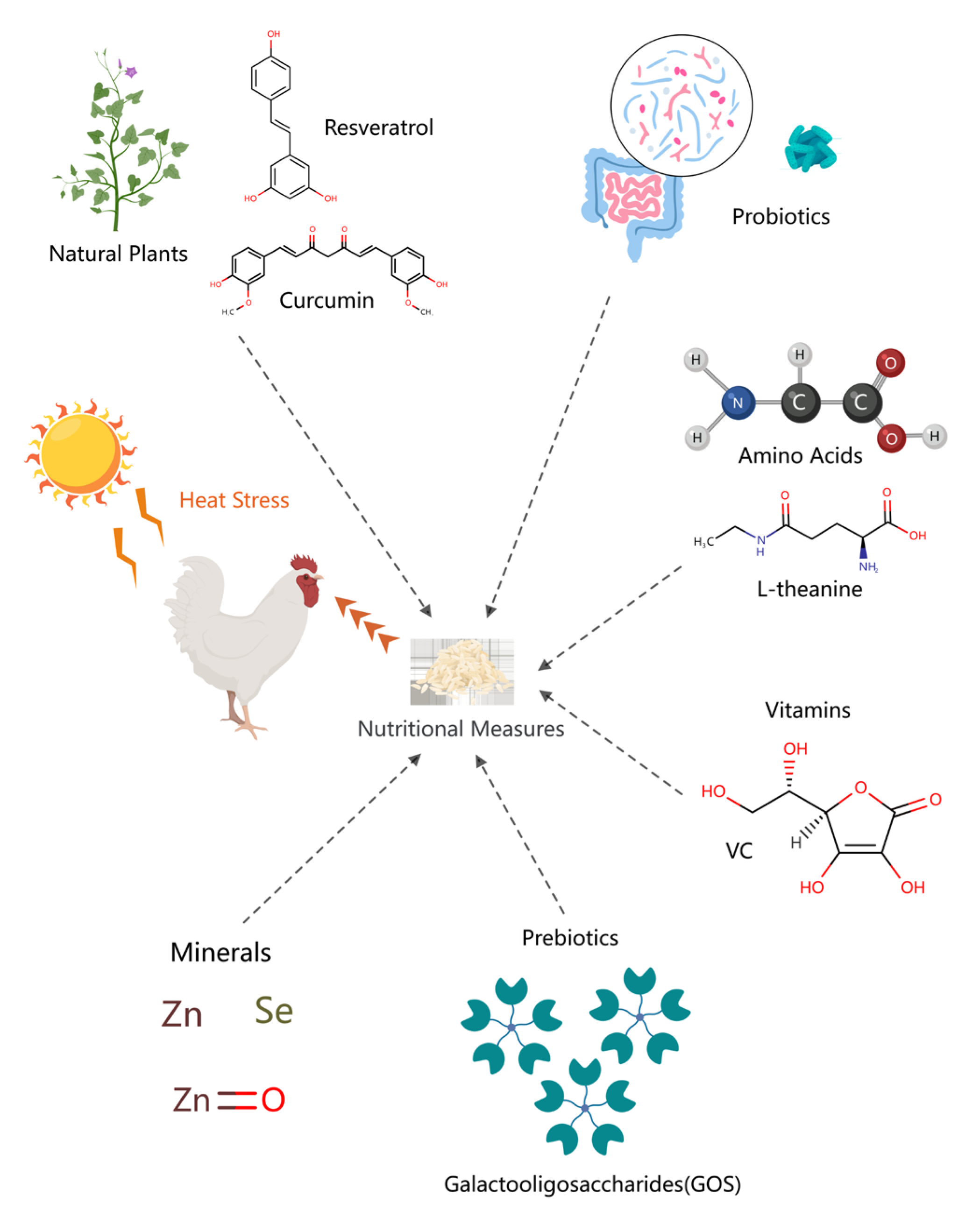 Biology 13 00926 g006