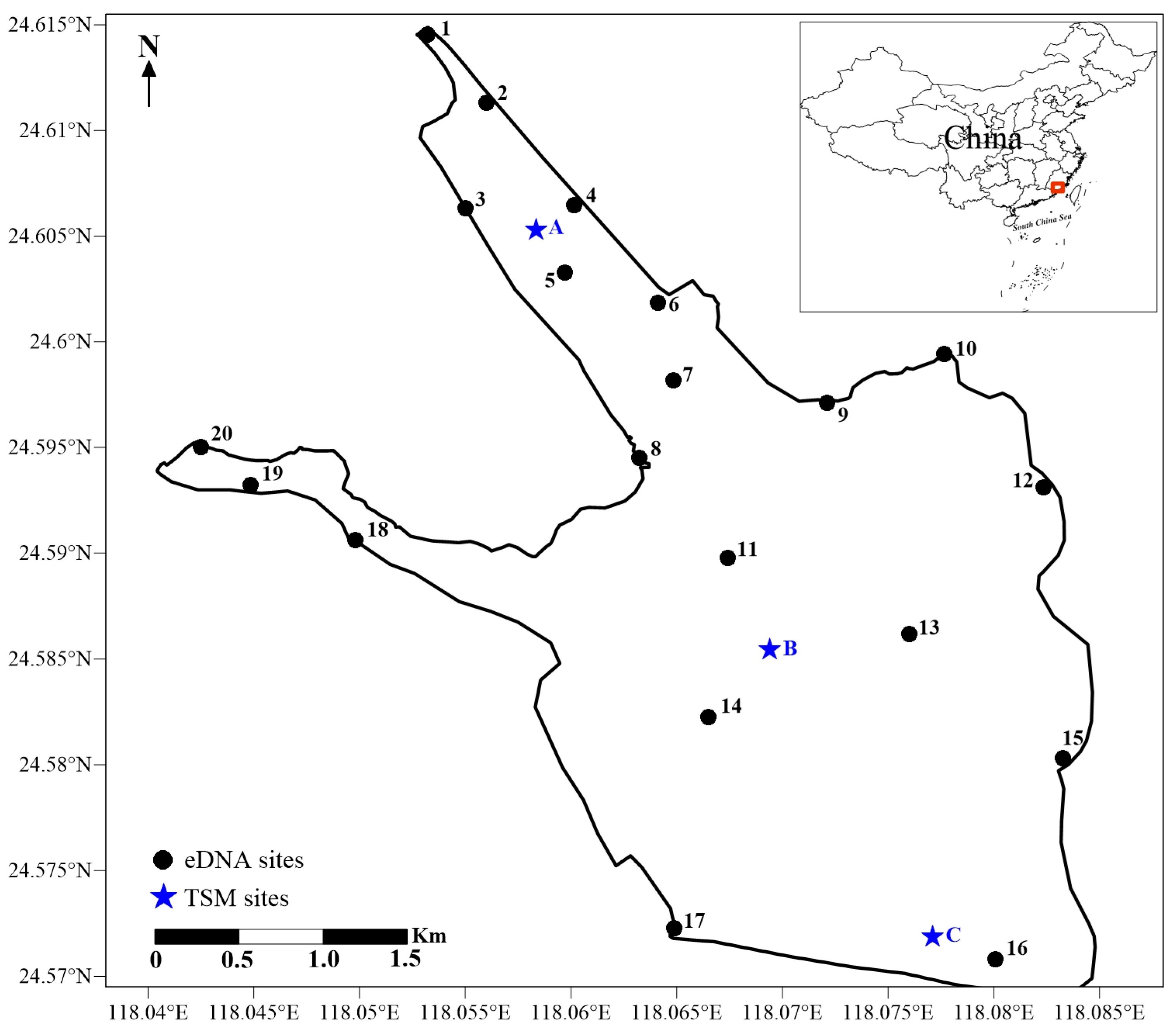 Biology 13 00930 g001