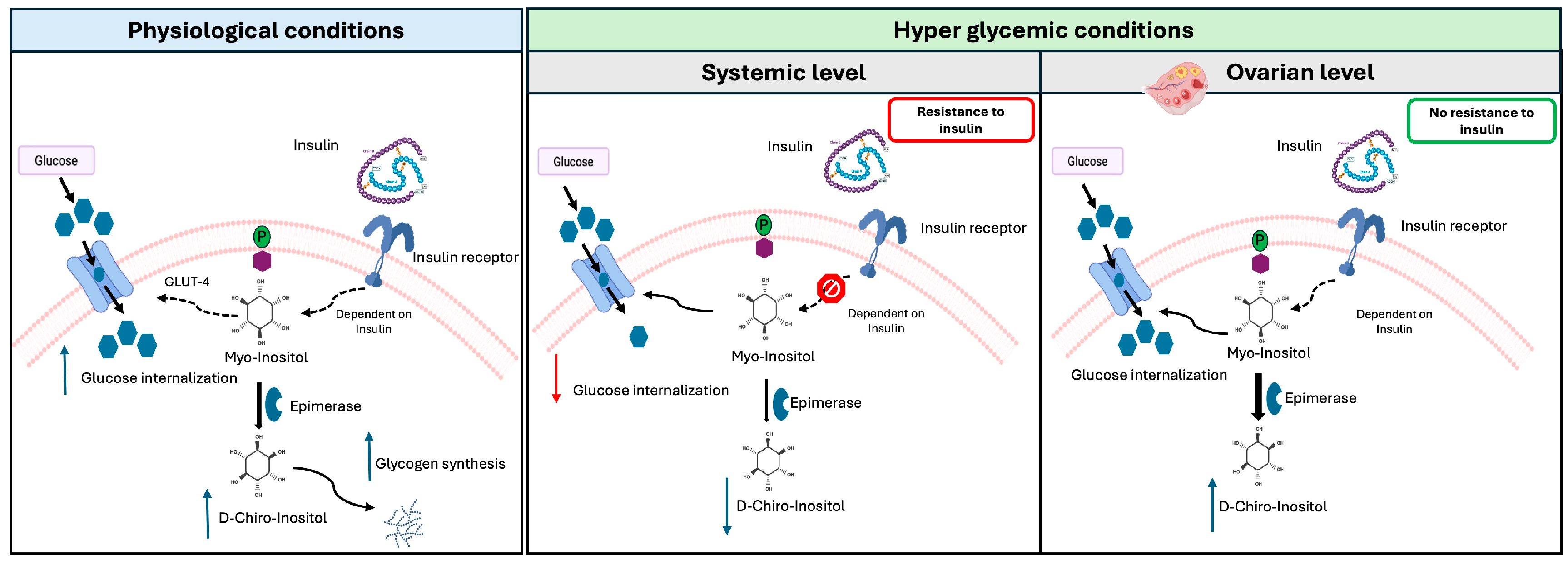 Biology 13 00936 g002