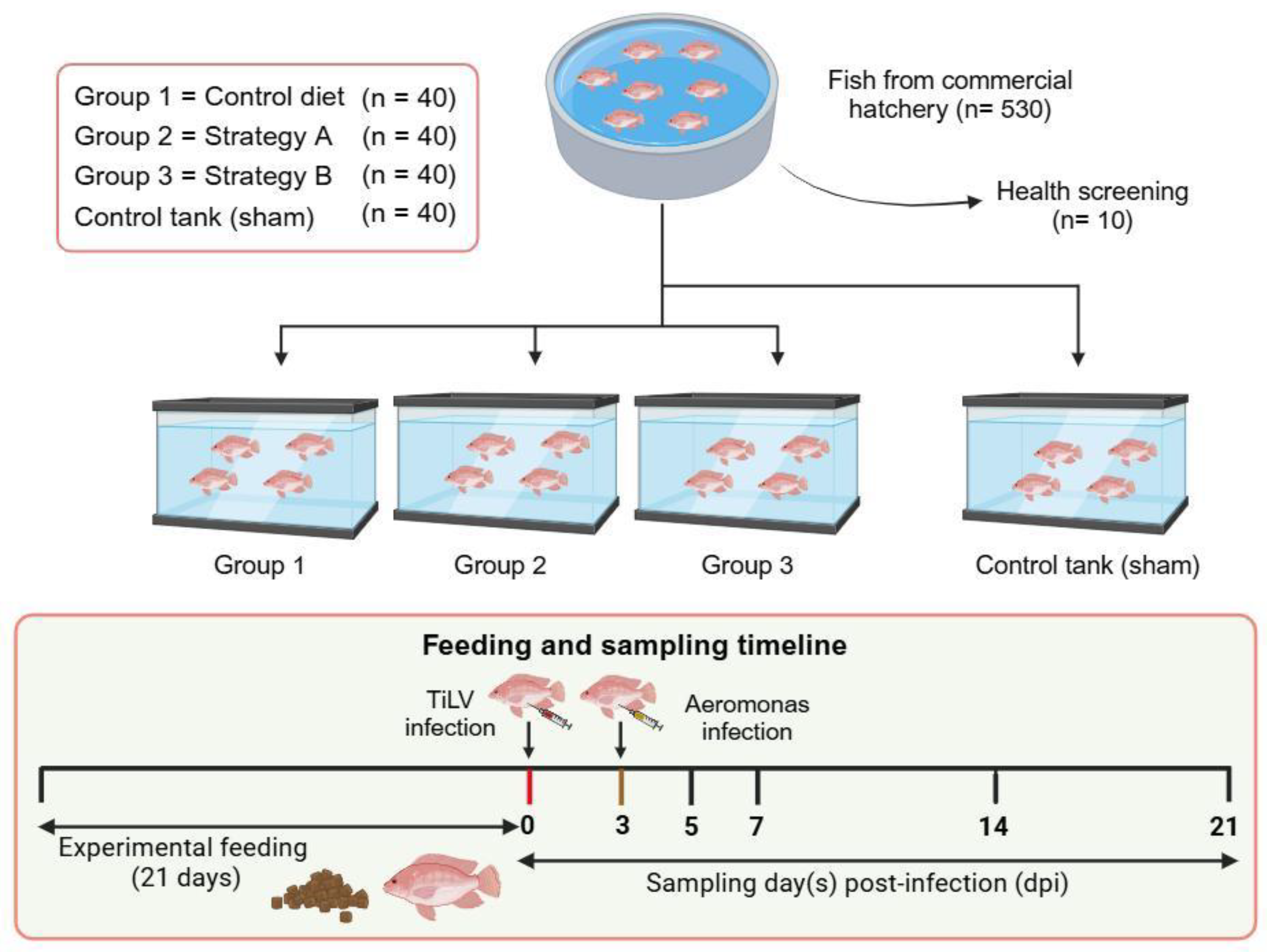 Biology 13 00938 g001