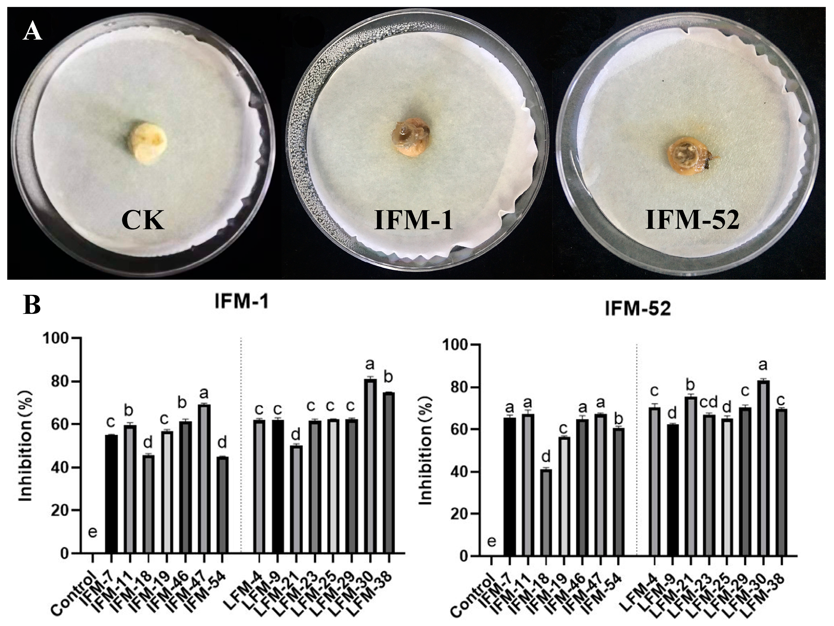 Biology 13 00940 g006