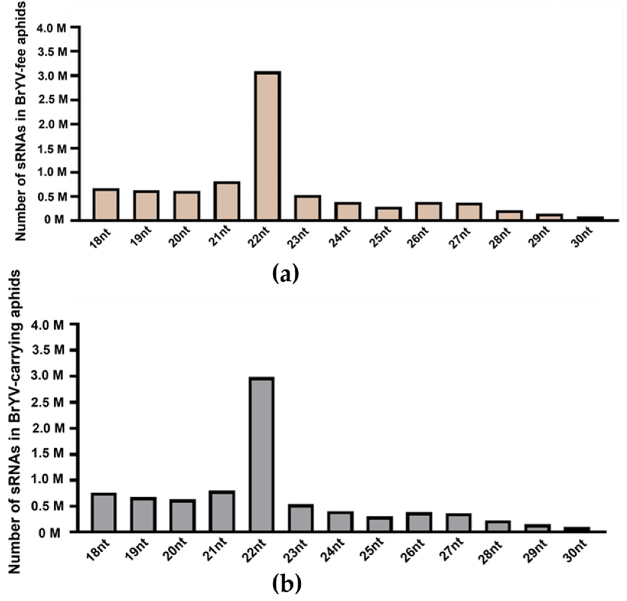 Biology 13 00941 g002