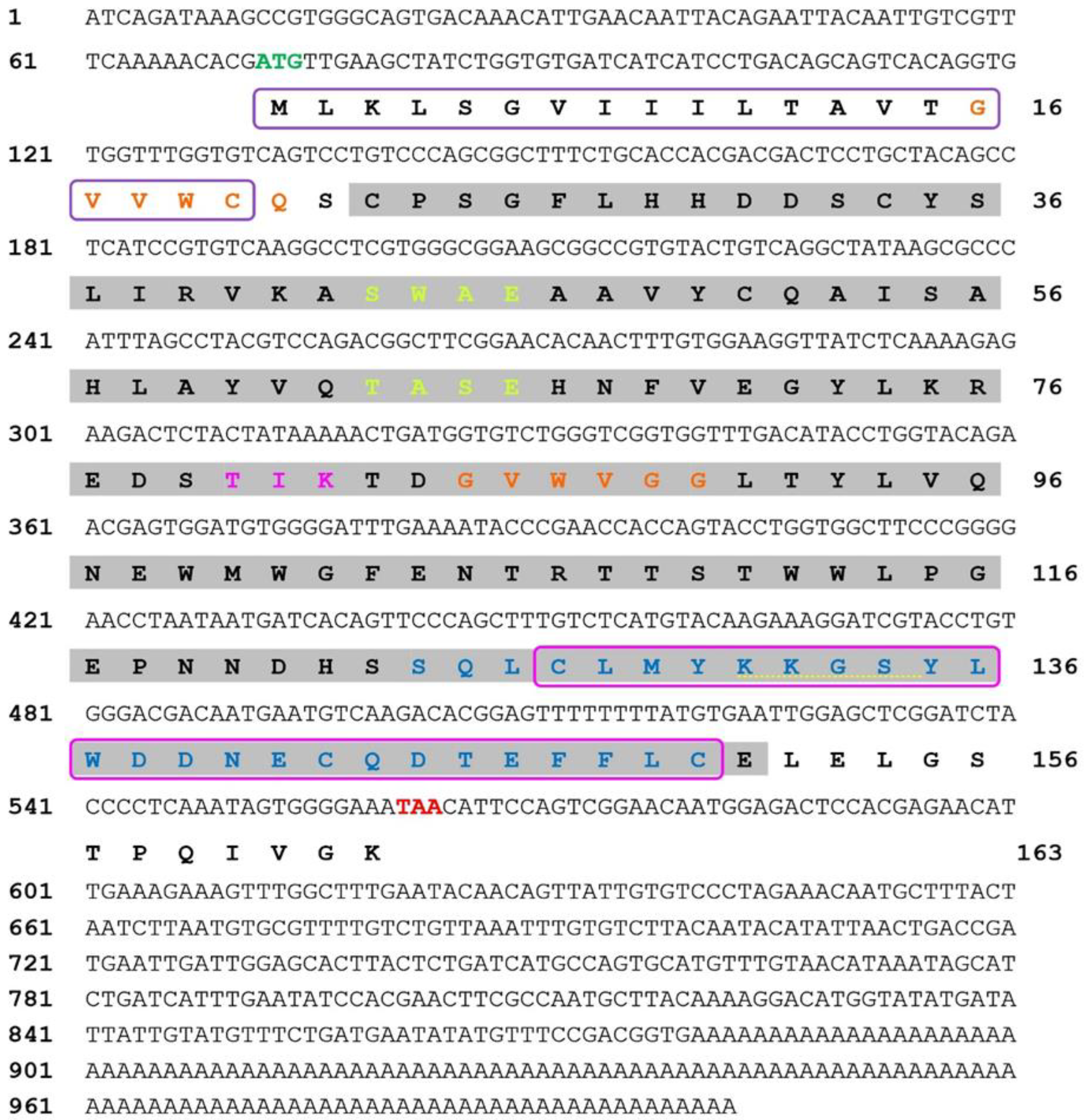 Biology 13 00944 g001