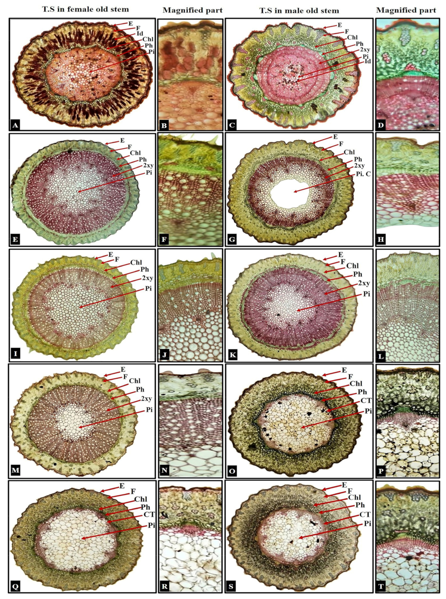 Biology 13 00947 g002