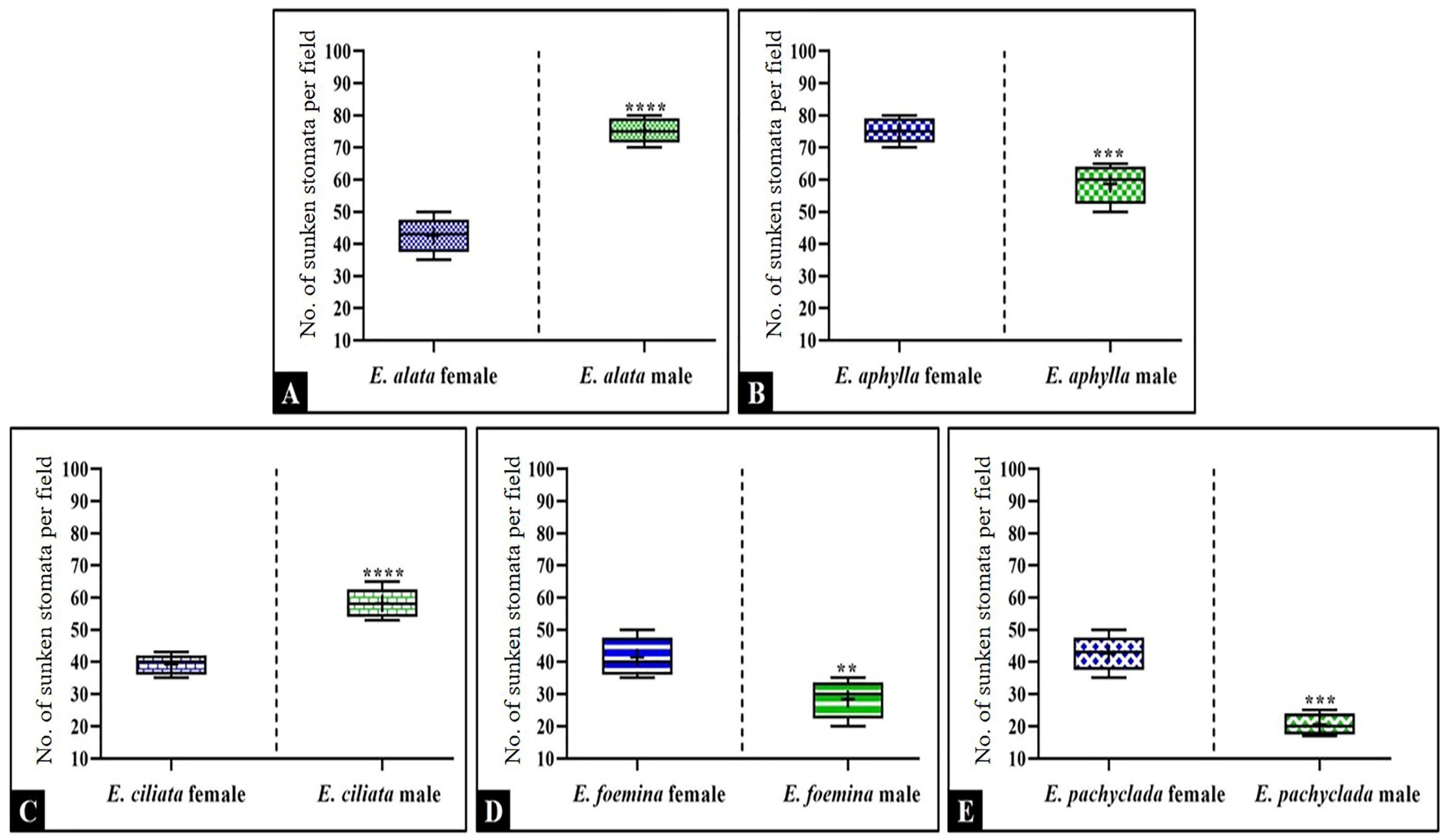 Biology 13 00947 g007