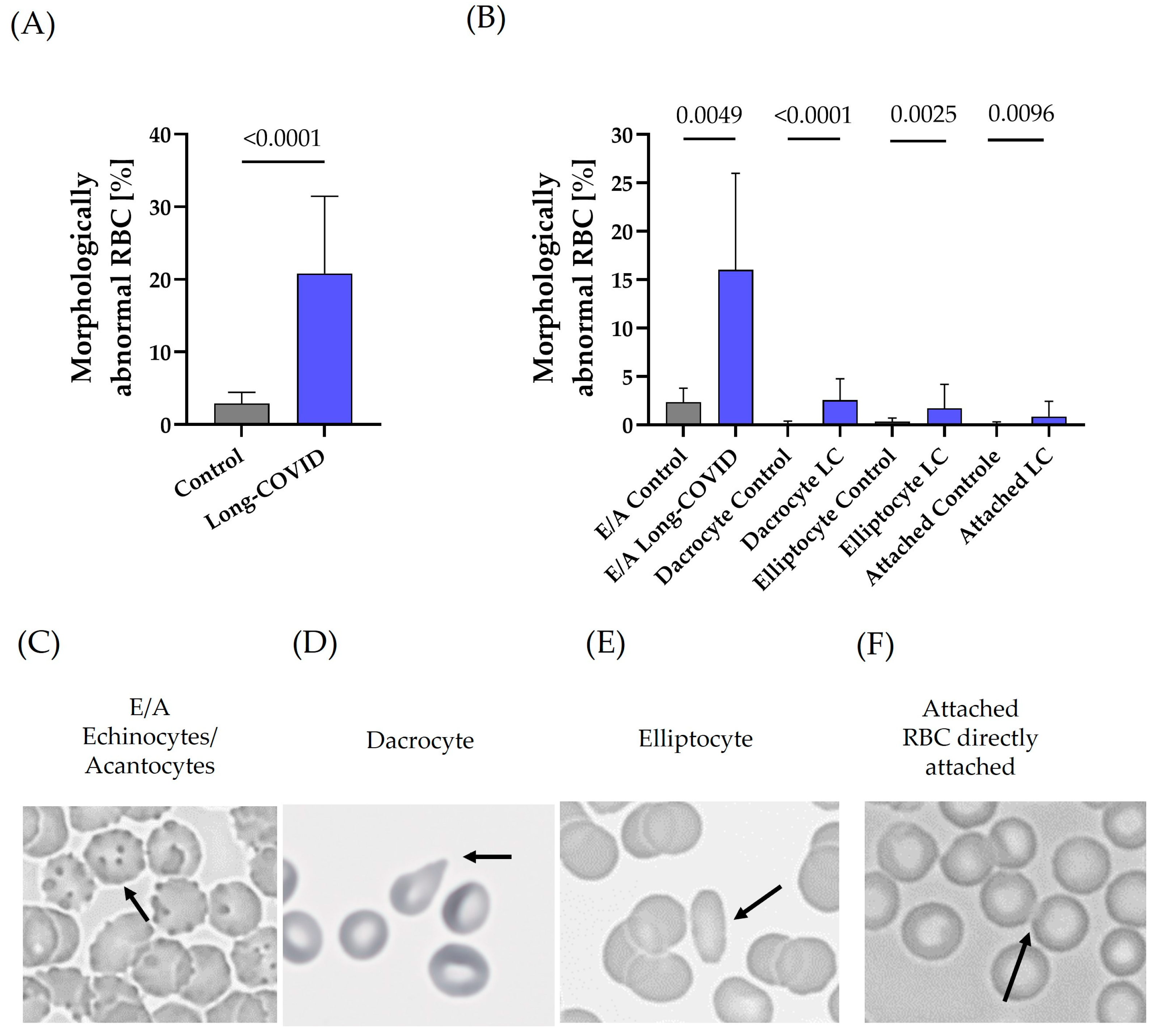 Biology 13 00948 g003
