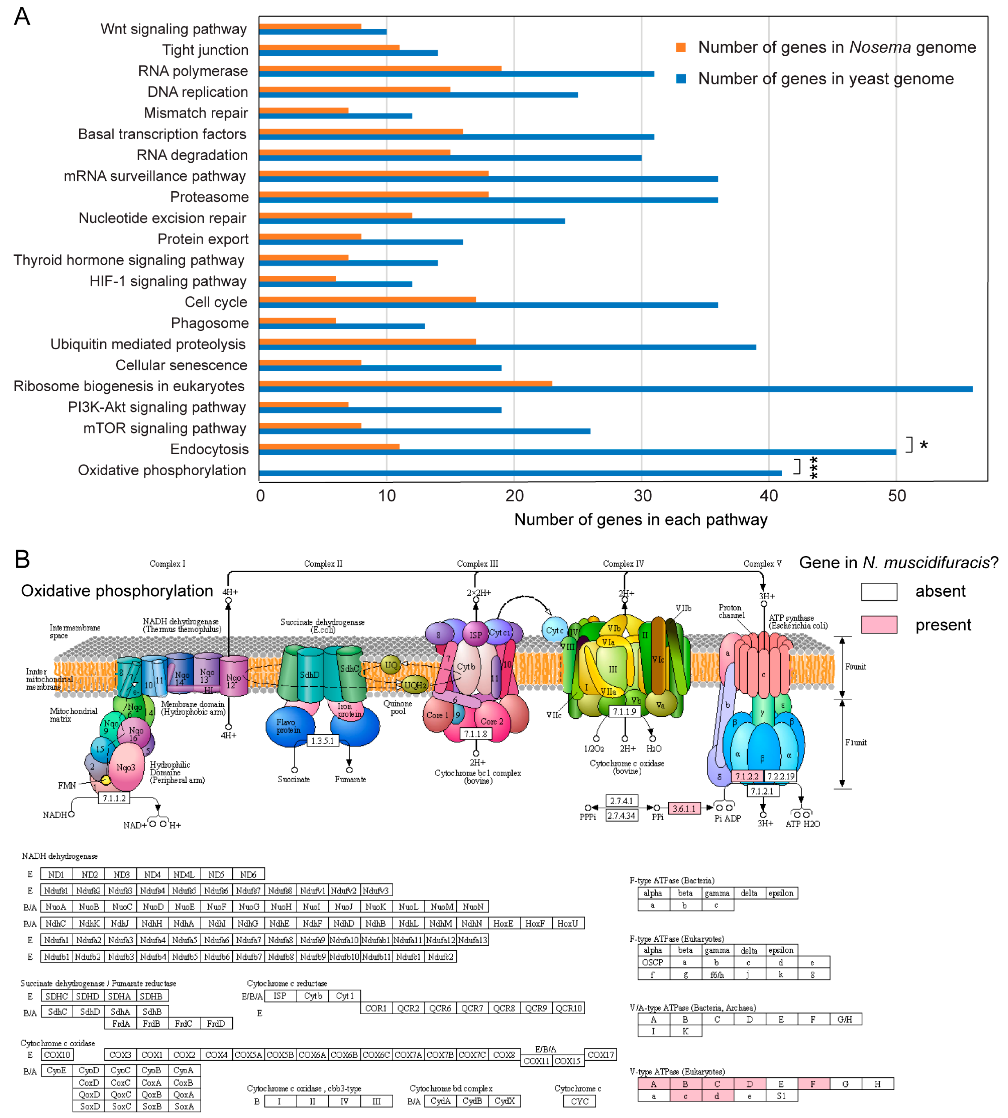 Biology 13 00952 g002