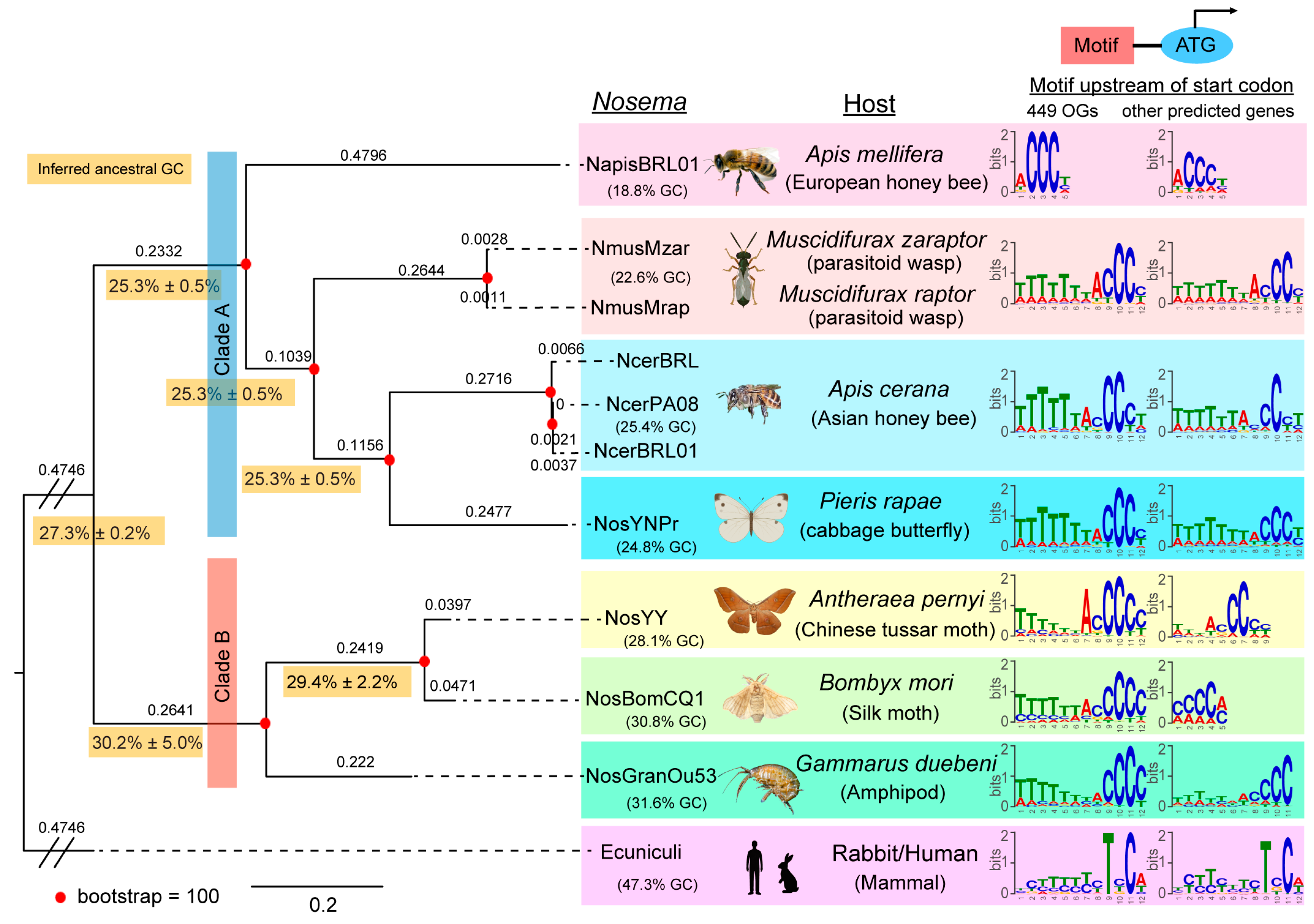 Biology 13 00952 g004