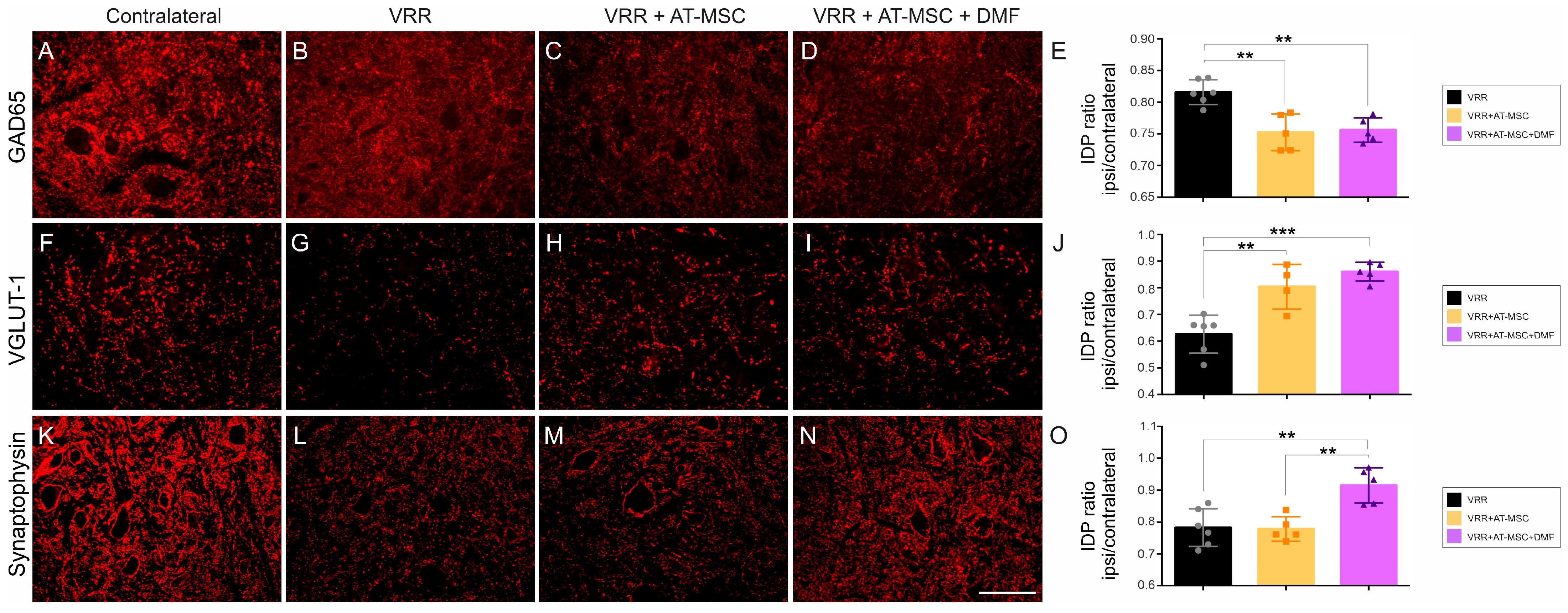 Biology 13 00953 g003