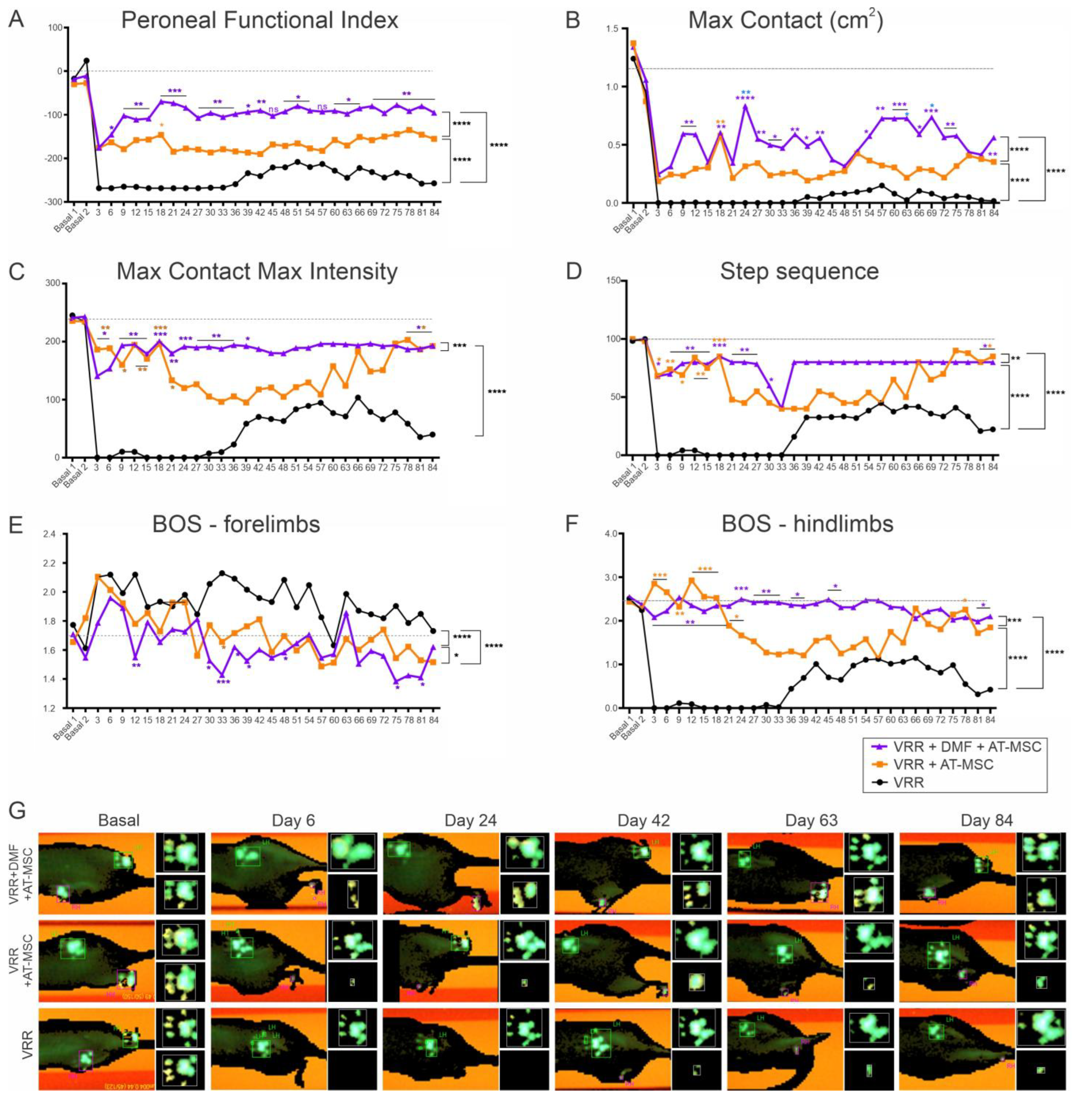 Biology 13 00953 g004