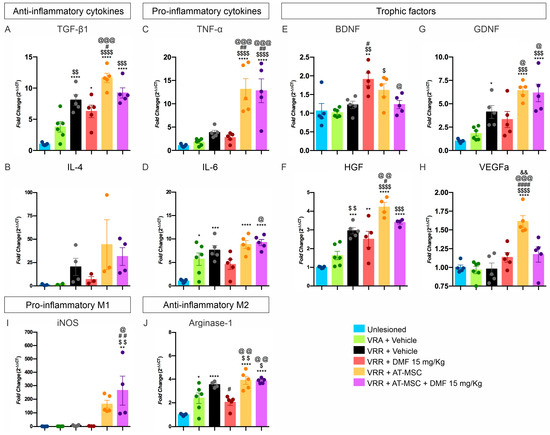 Biology 13 00953 g005