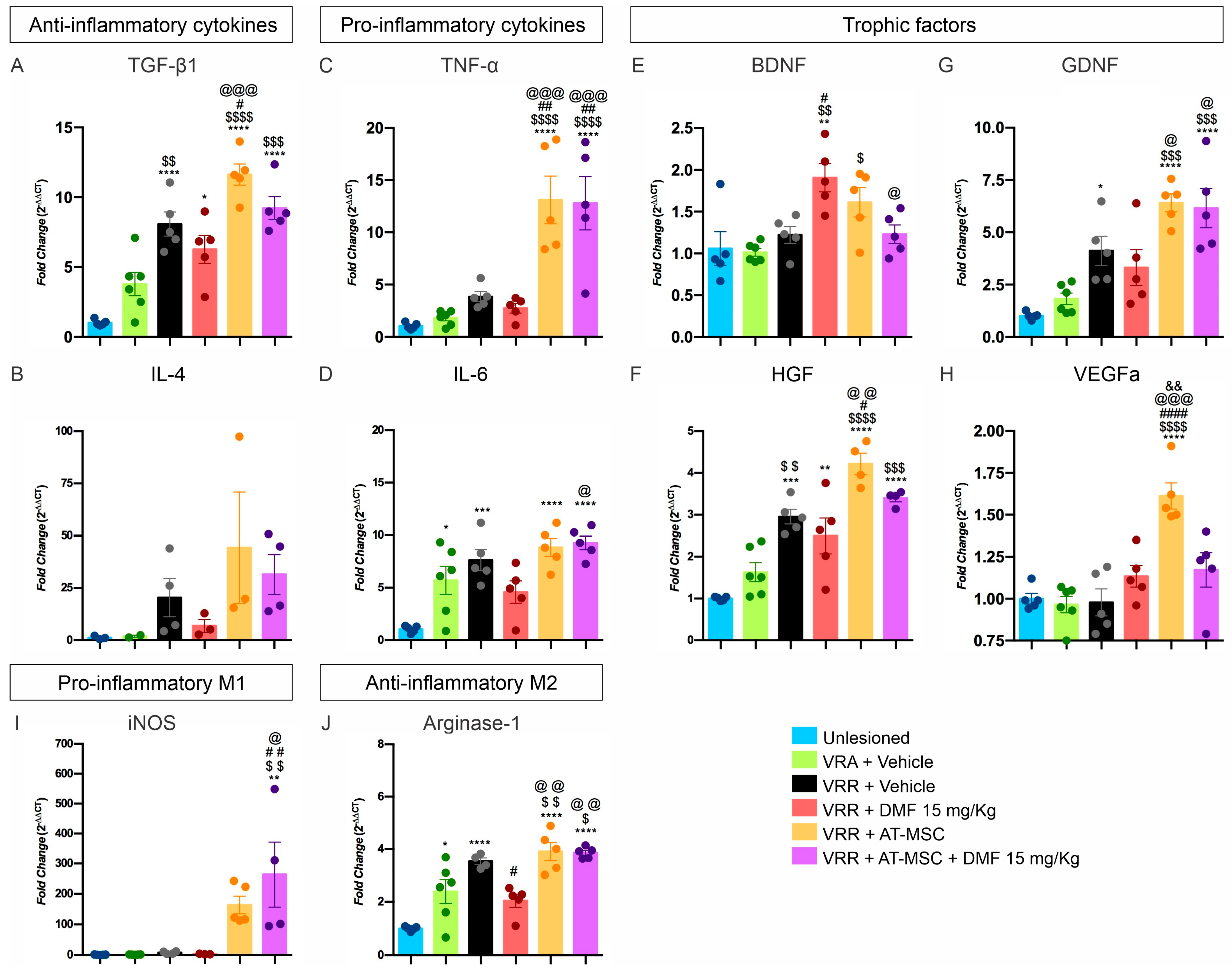 Biology 13 00953 g005