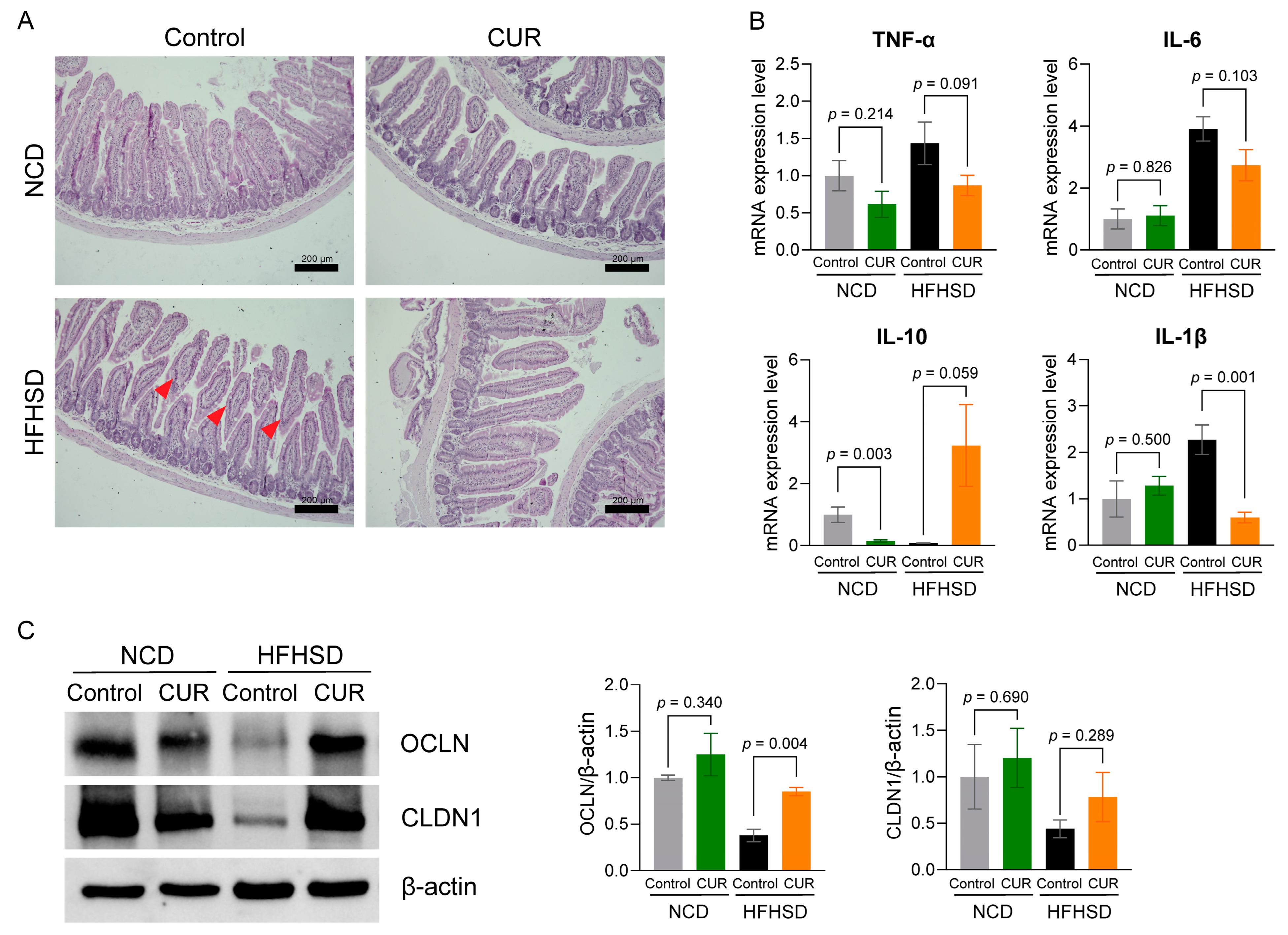 Biology 13 00955 g005