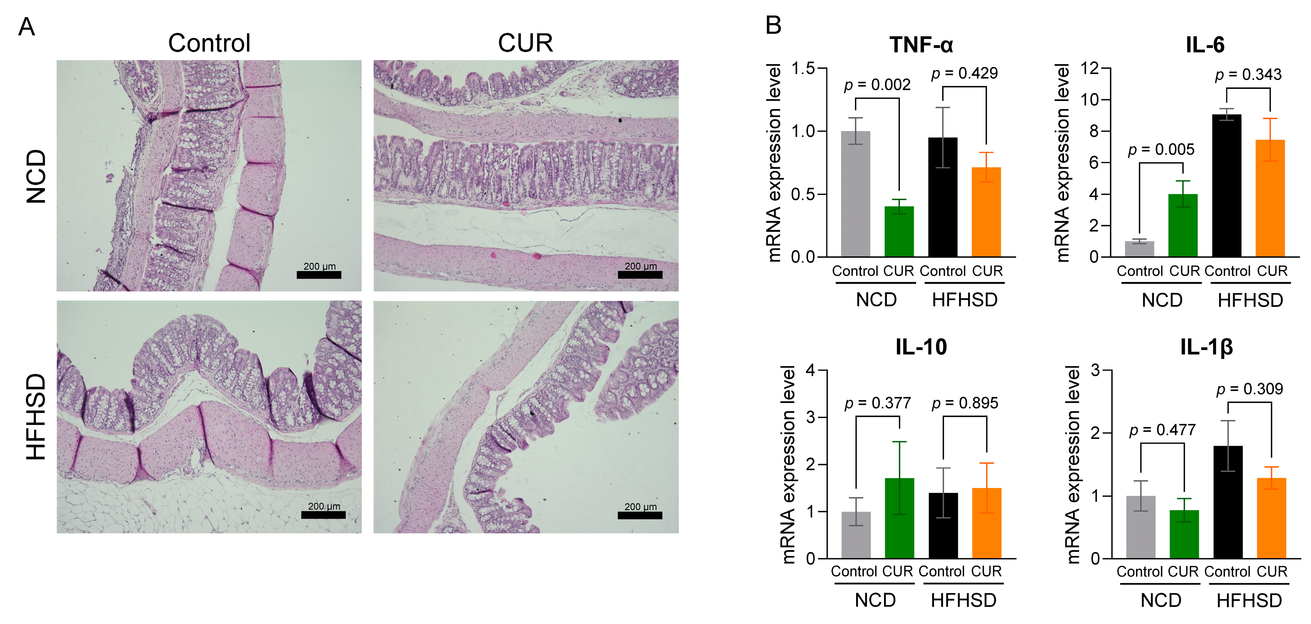 Biology 13 00955 g006