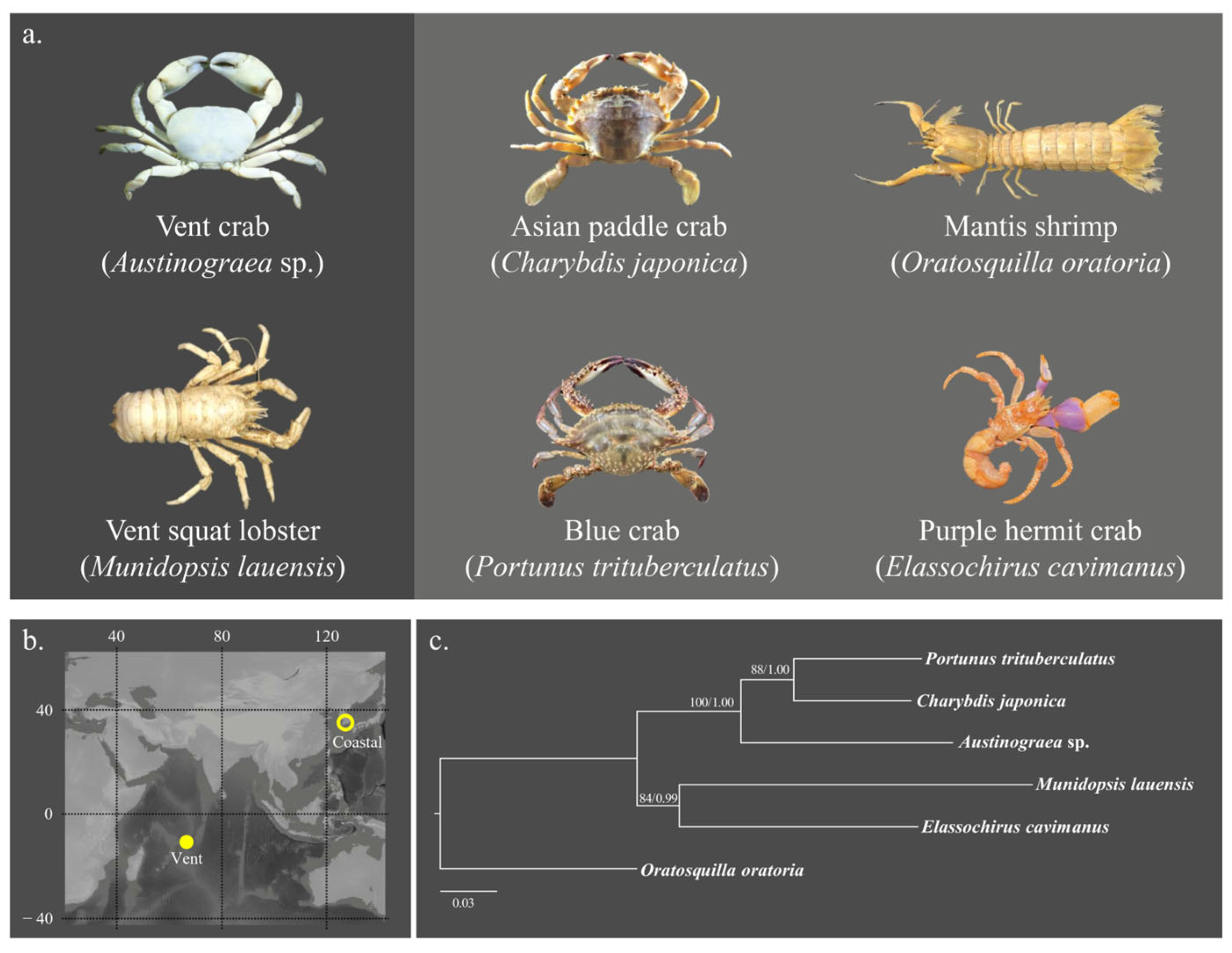 Biology 13 00956 g001