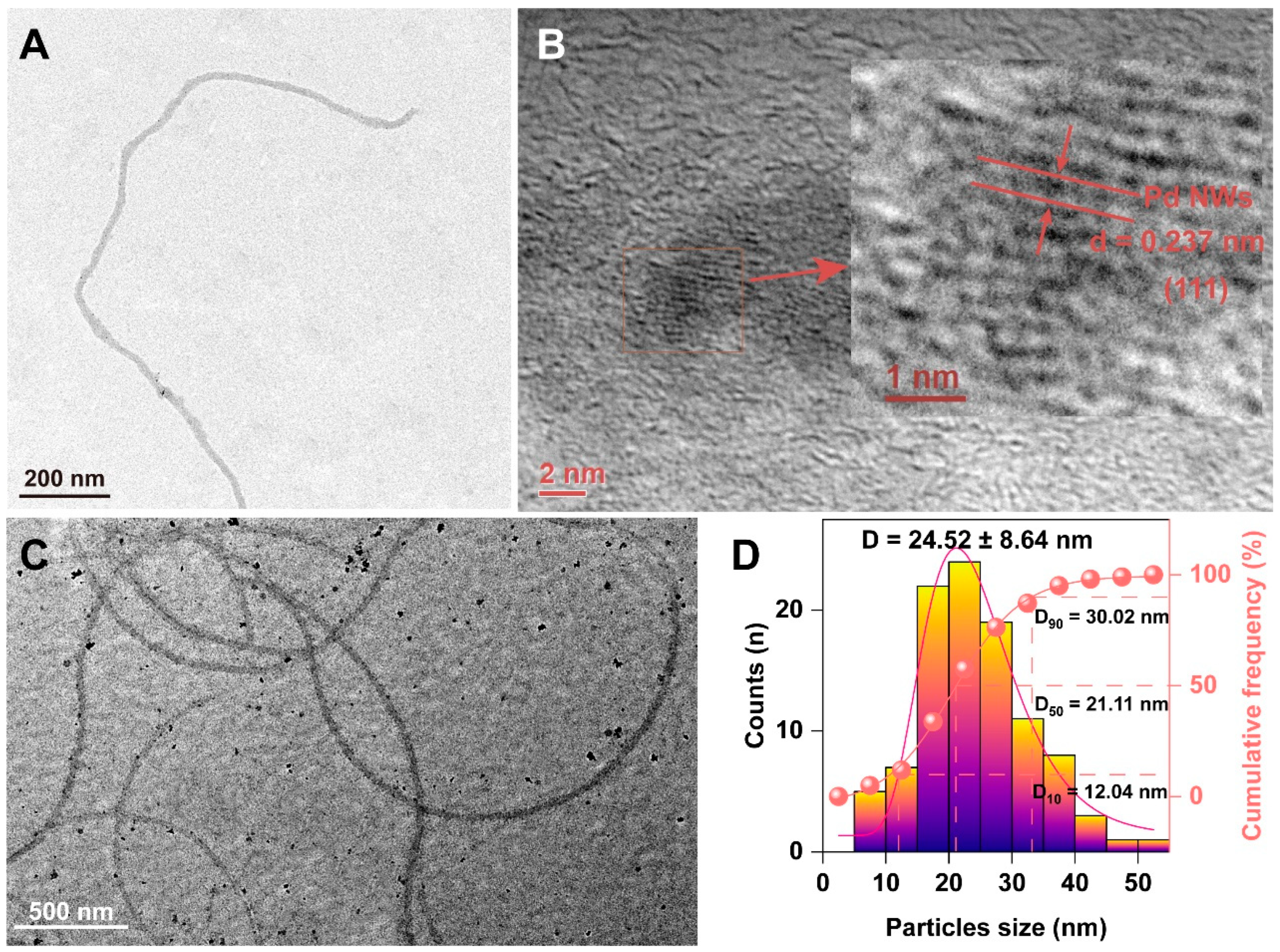 Biology 13 00960 g001