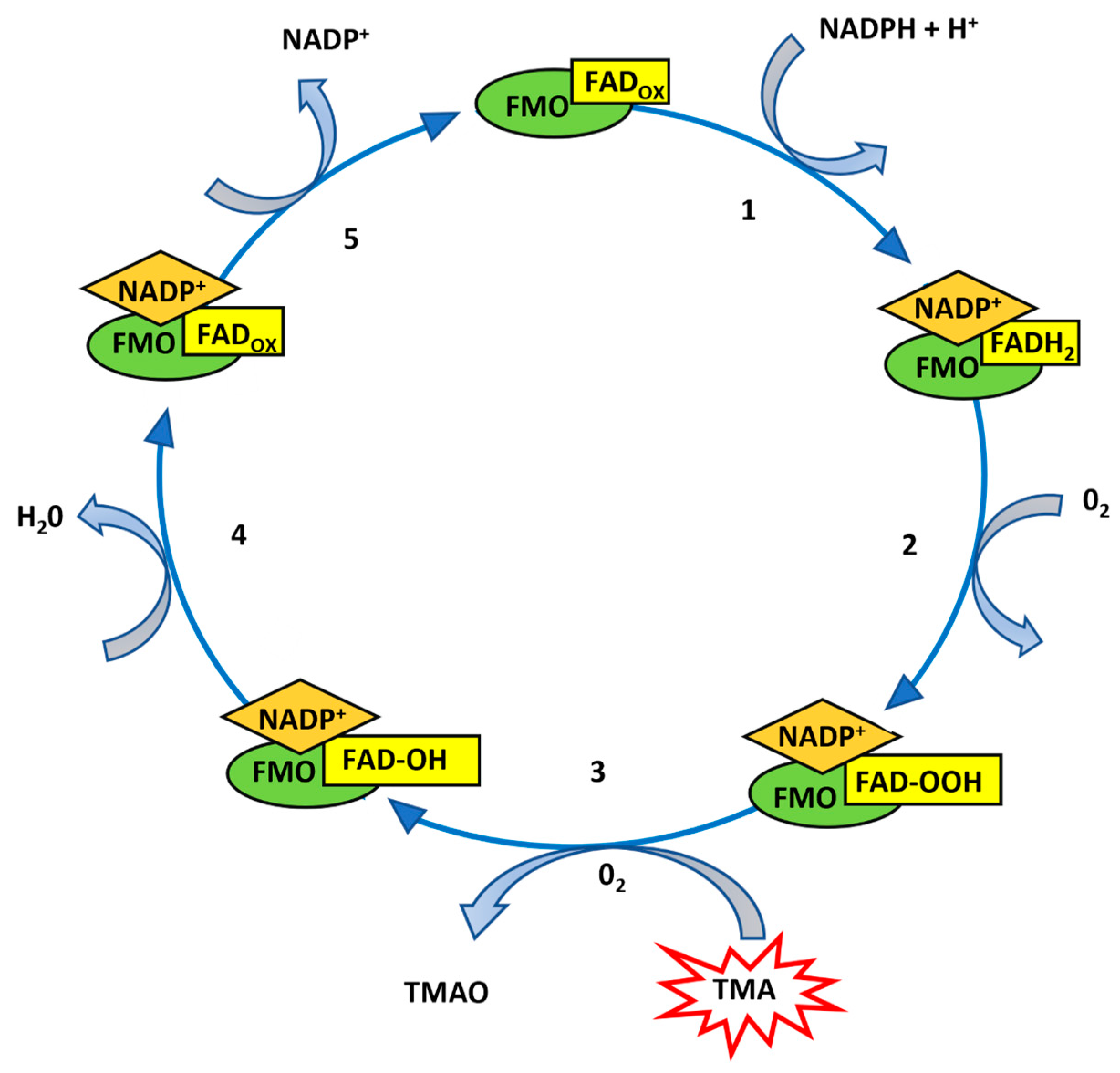 Biology 13 00961 g001