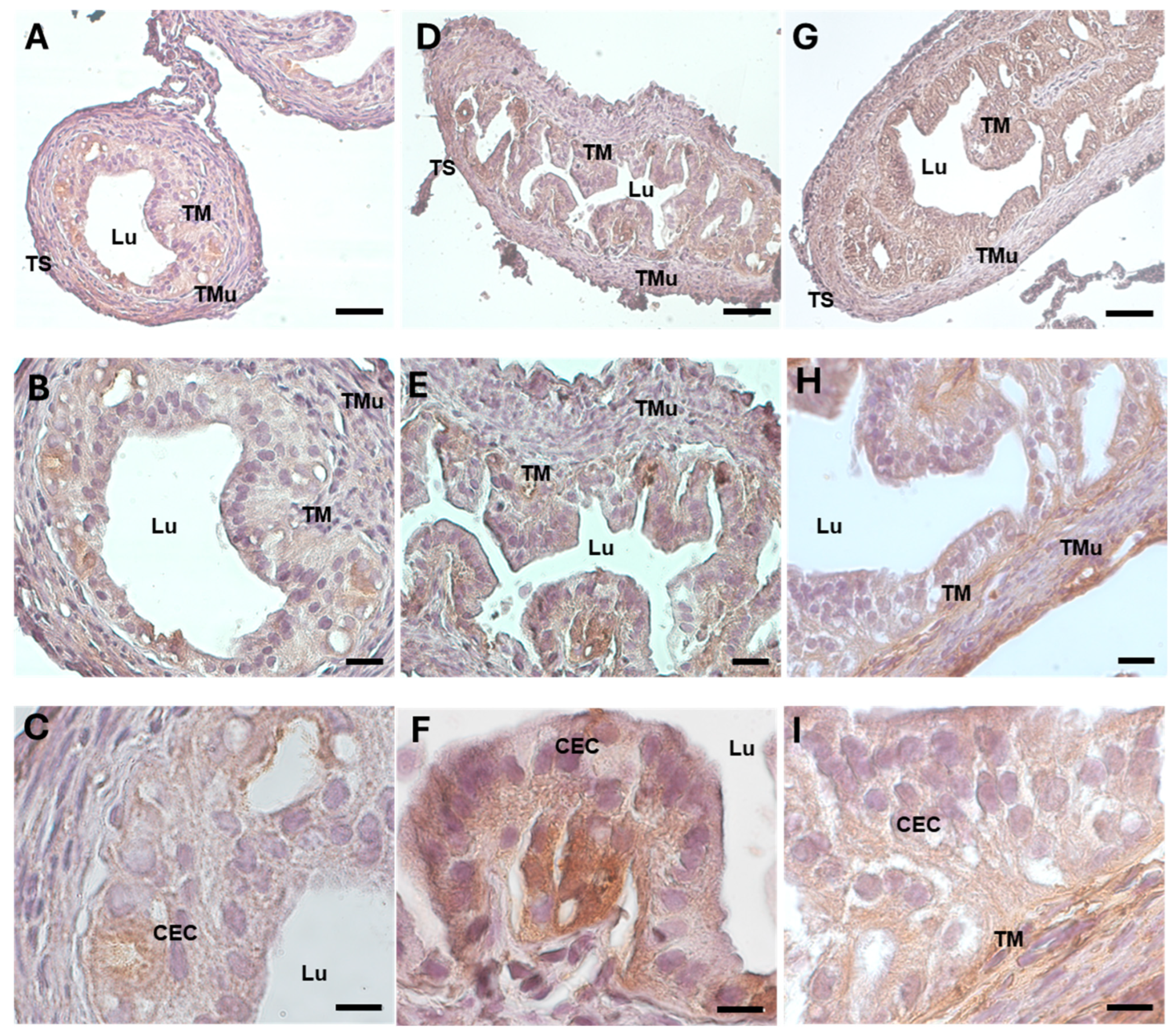 Biology 13 00964 g004