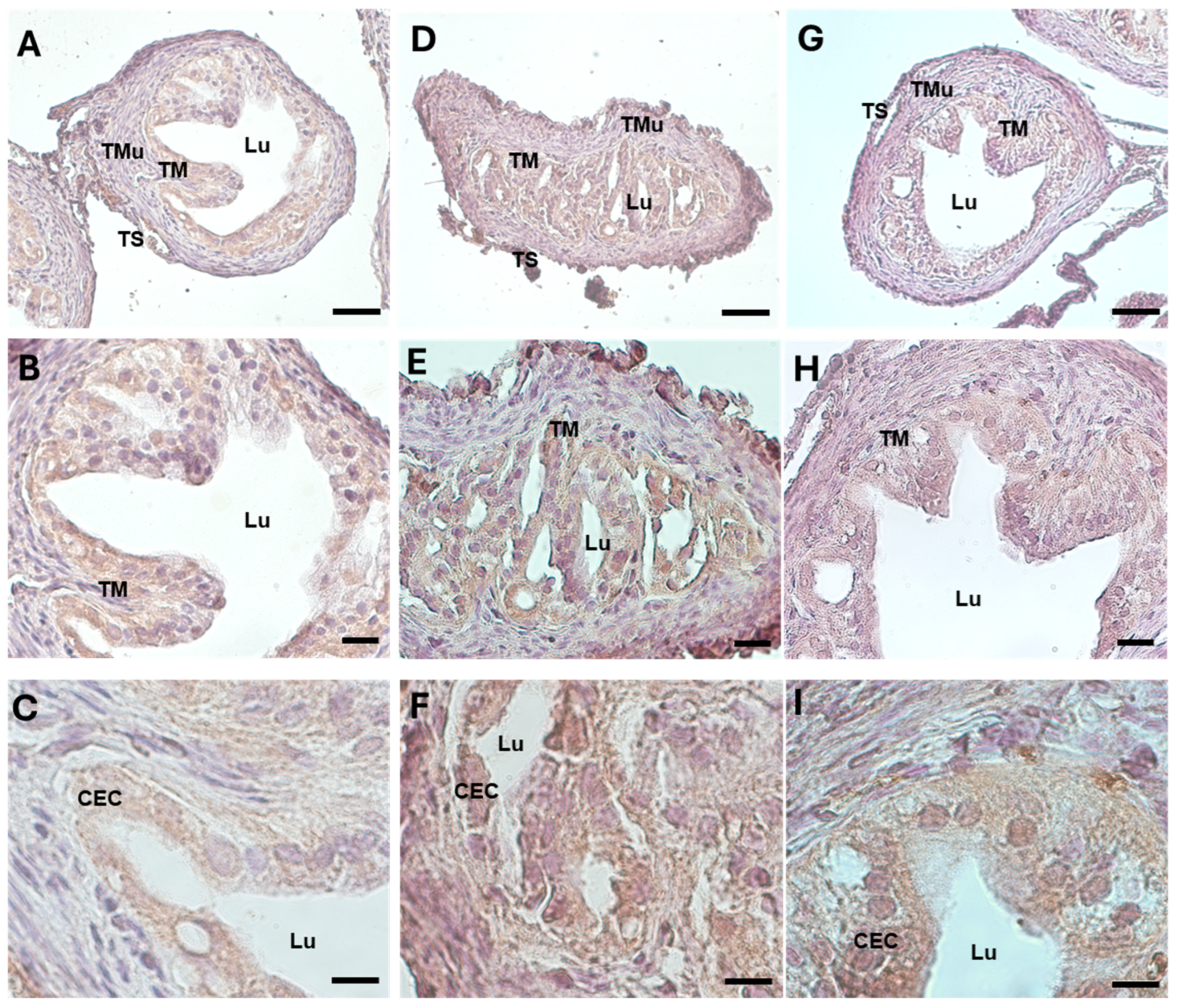 Biology 13 00964 g007