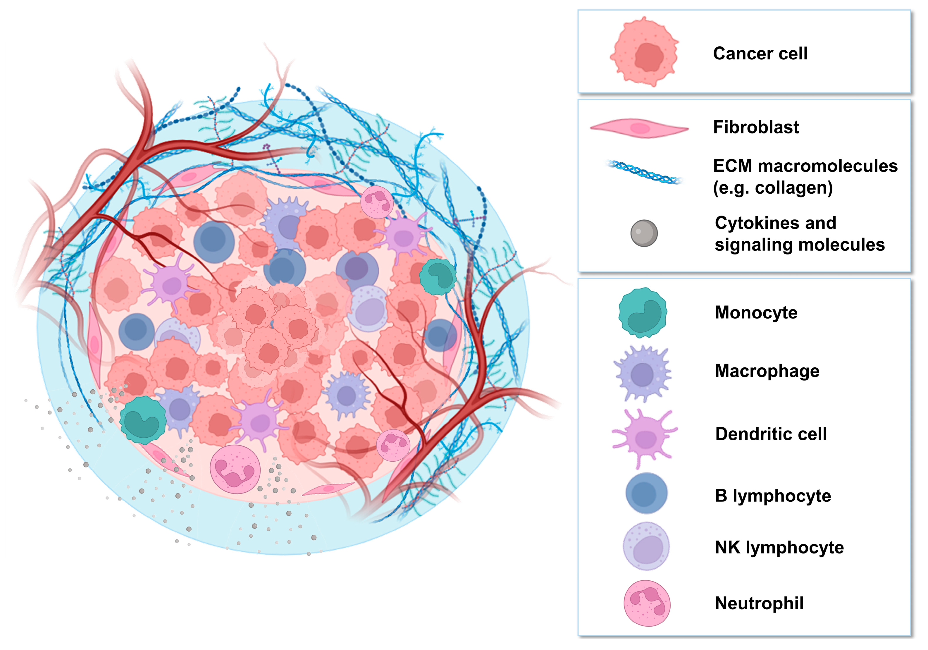 Biology 13 00967 g001