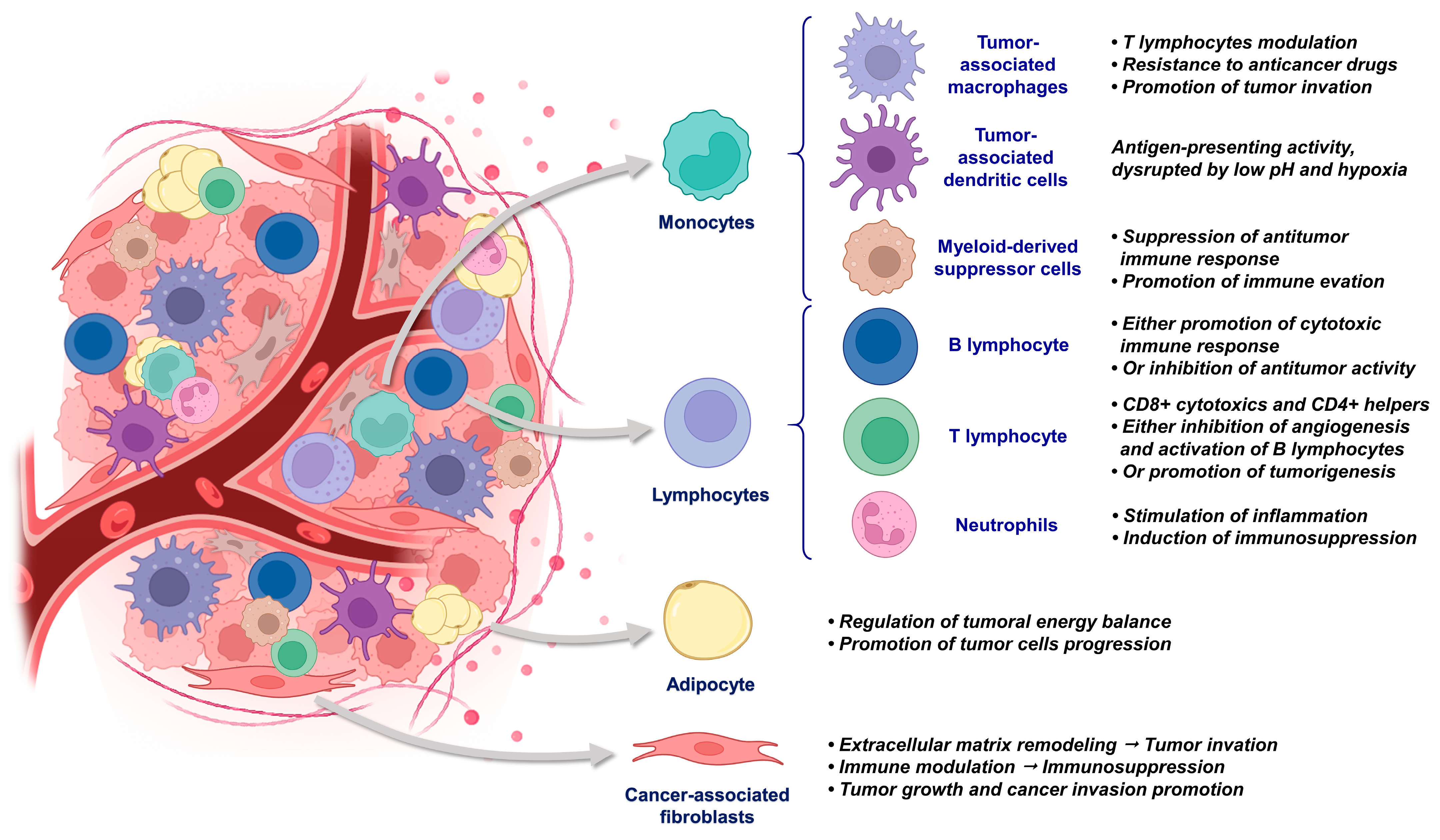 Biology 13 00967 g003